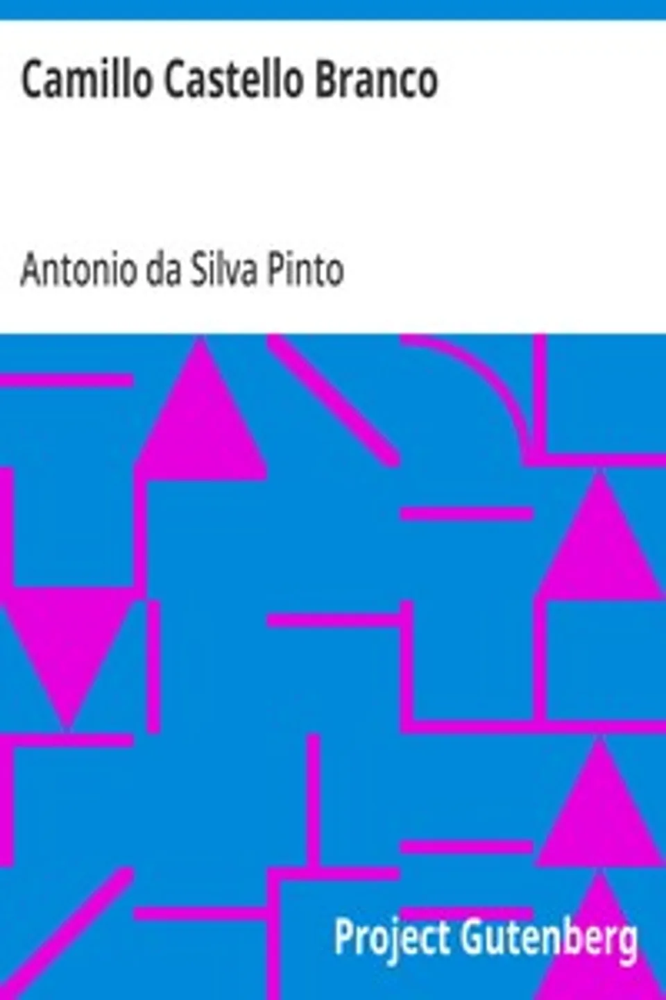 Camillo Castello Branco, Antonio da Silva Pinto