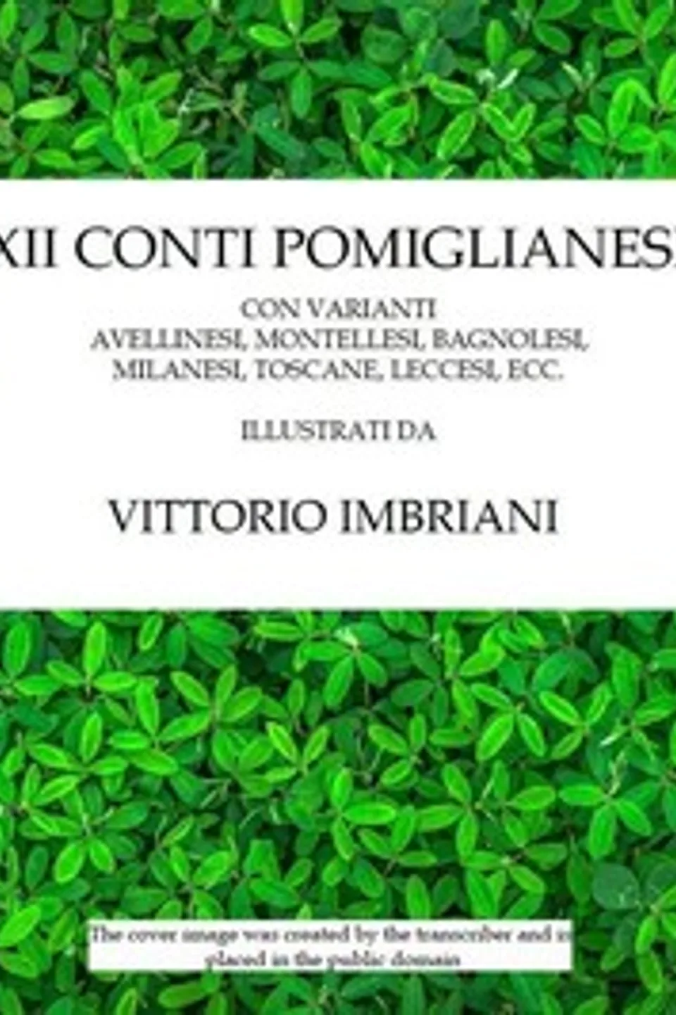 XII conti pomiglianesi: con varianti avellinesi, montellesi, bagnolesi, milanesi, toscane, ecc., Vittorio Imbriani