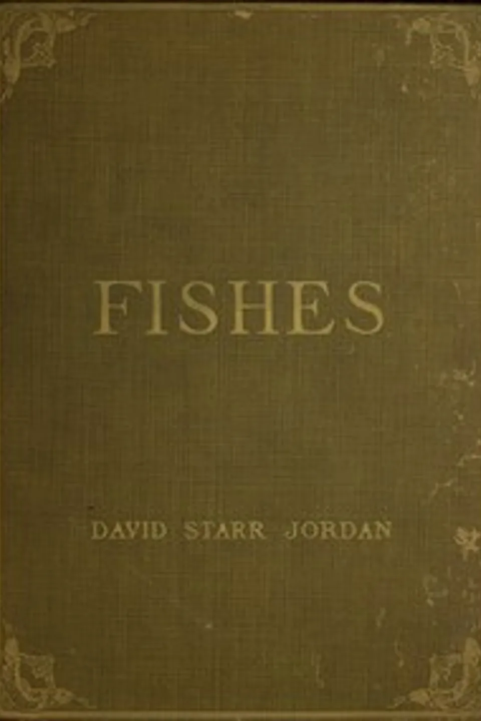 A Guide to the Study of Fishes, Volume 2 (of 2), David Starr Jordan