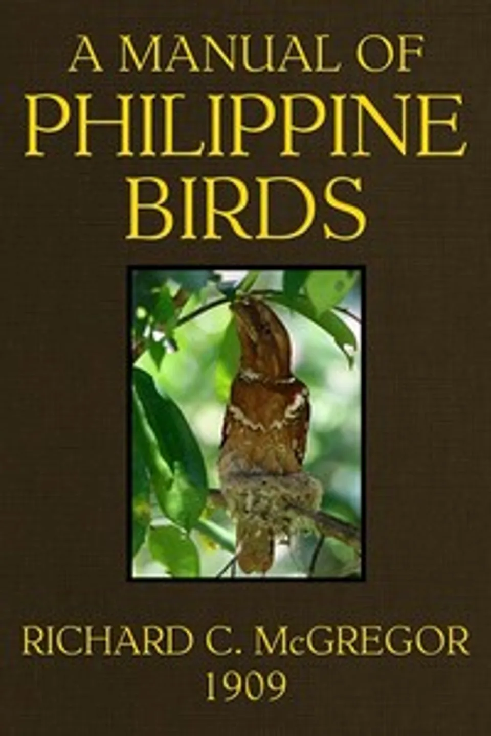 A Manual of Philippine Birds, Richard C. (Richard Crittenden) McGregor