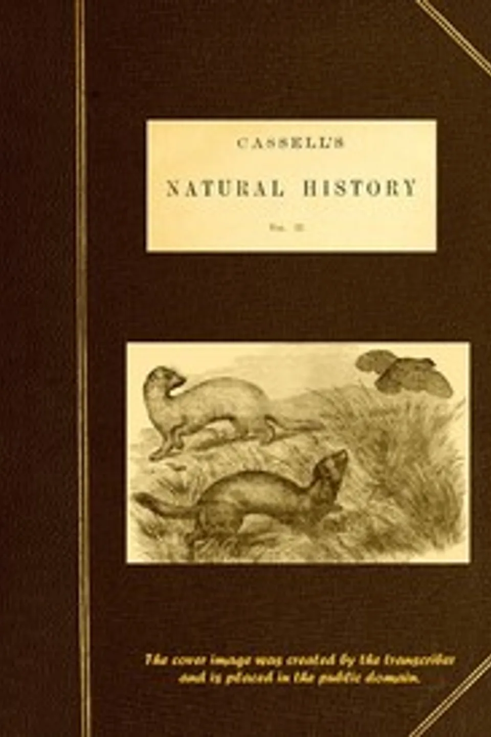 Cassell's Natural History, Vol. 2 (of 6)