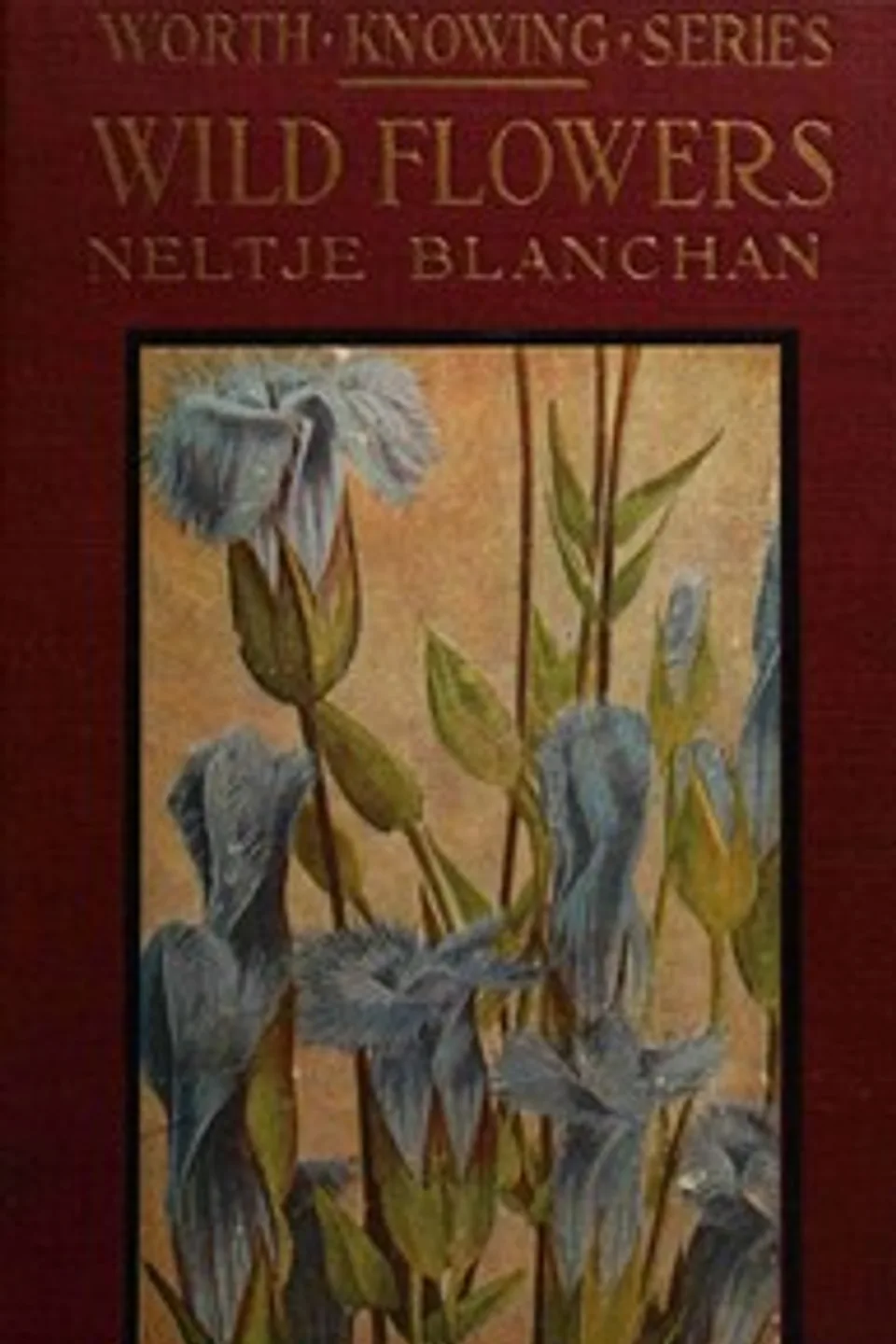 Wild Flowers Worth Knowing, Neltje Blanchan