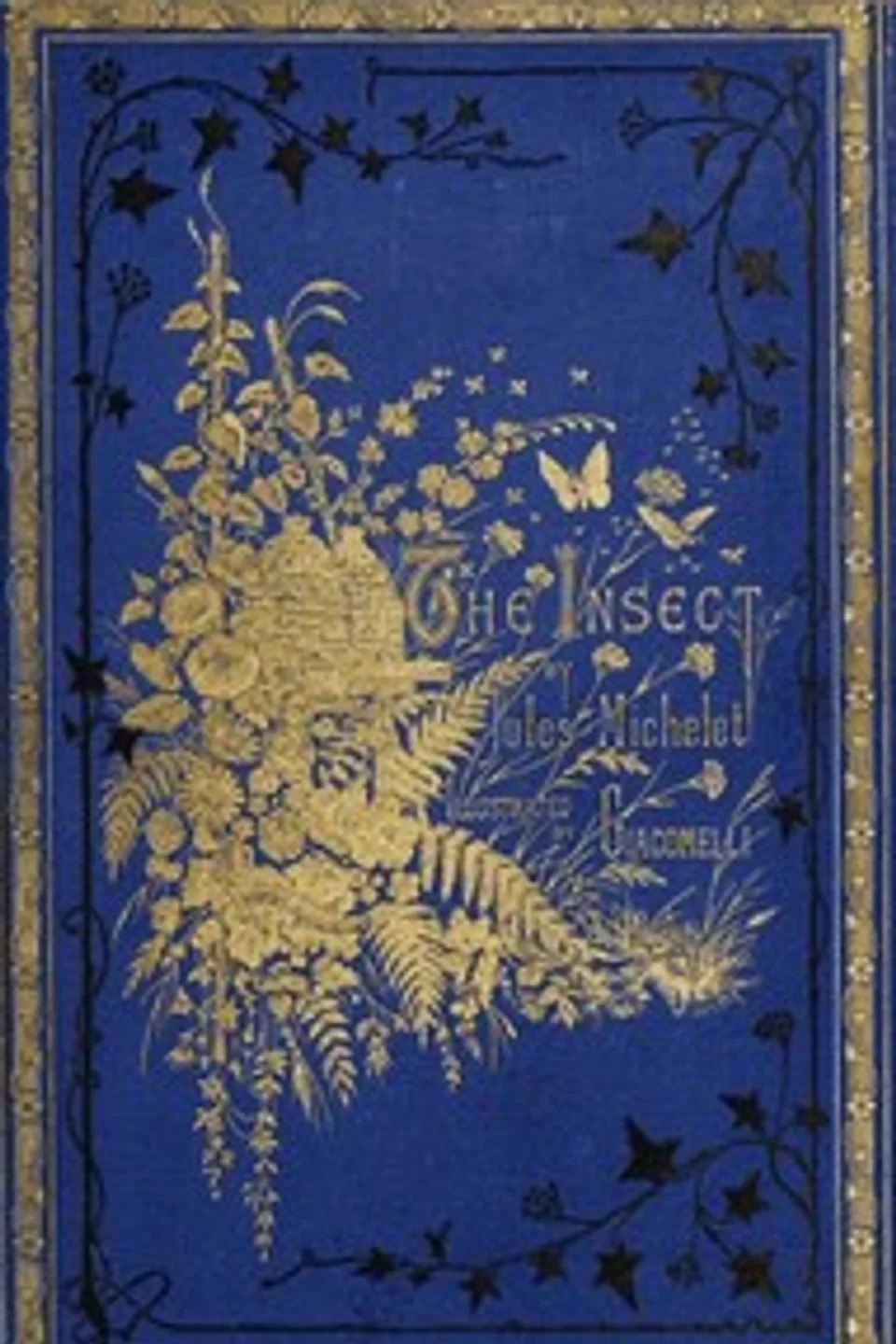 The Insect, Jules Michelet