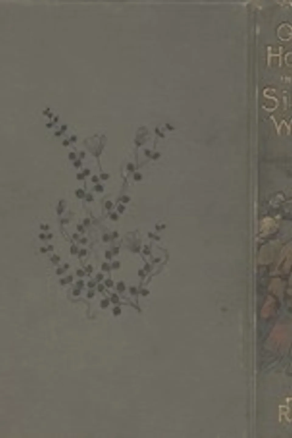 Our Home in the Silver West: A Story of Struggle and Adventure, Gordon Stables