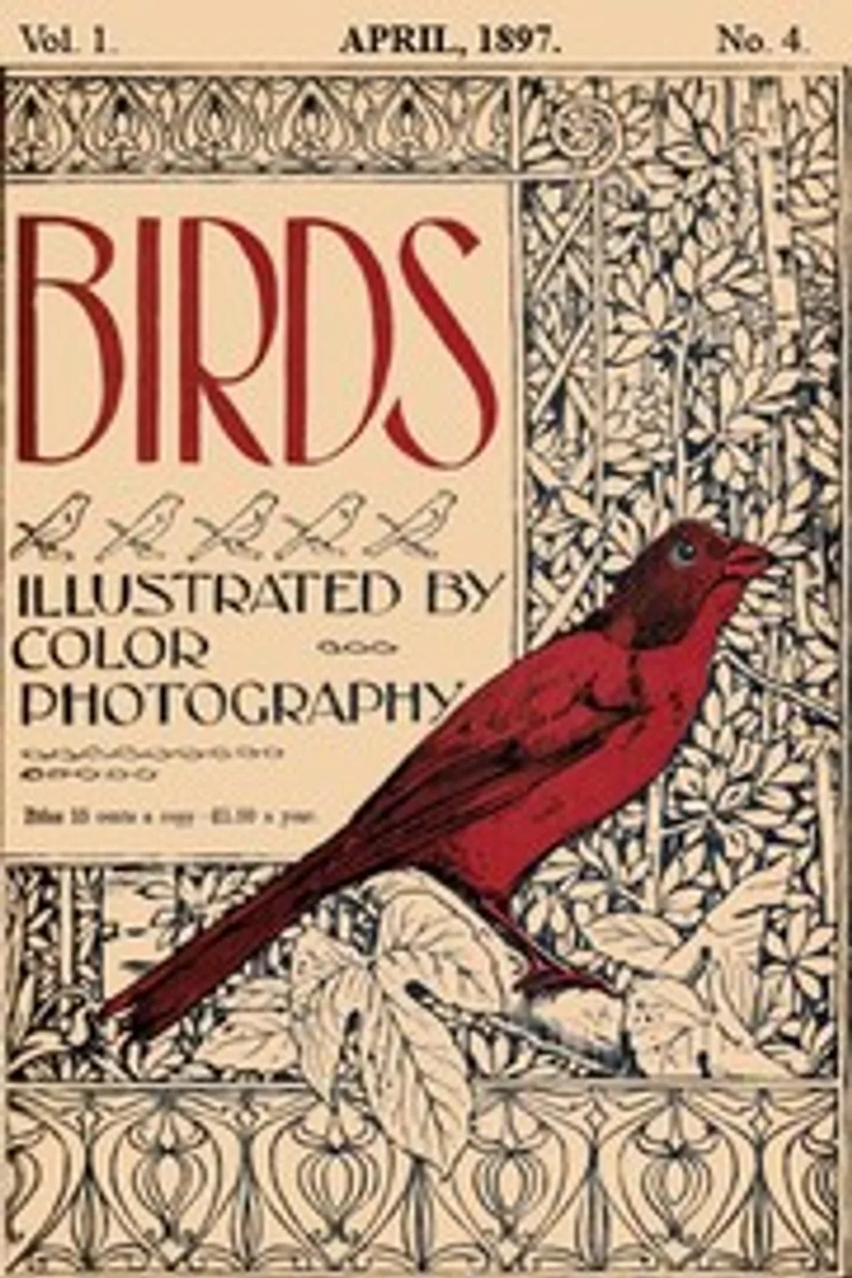 Birds, Illustrated by Color Photography, Vol. 1, No. 4: April, 1897, Various