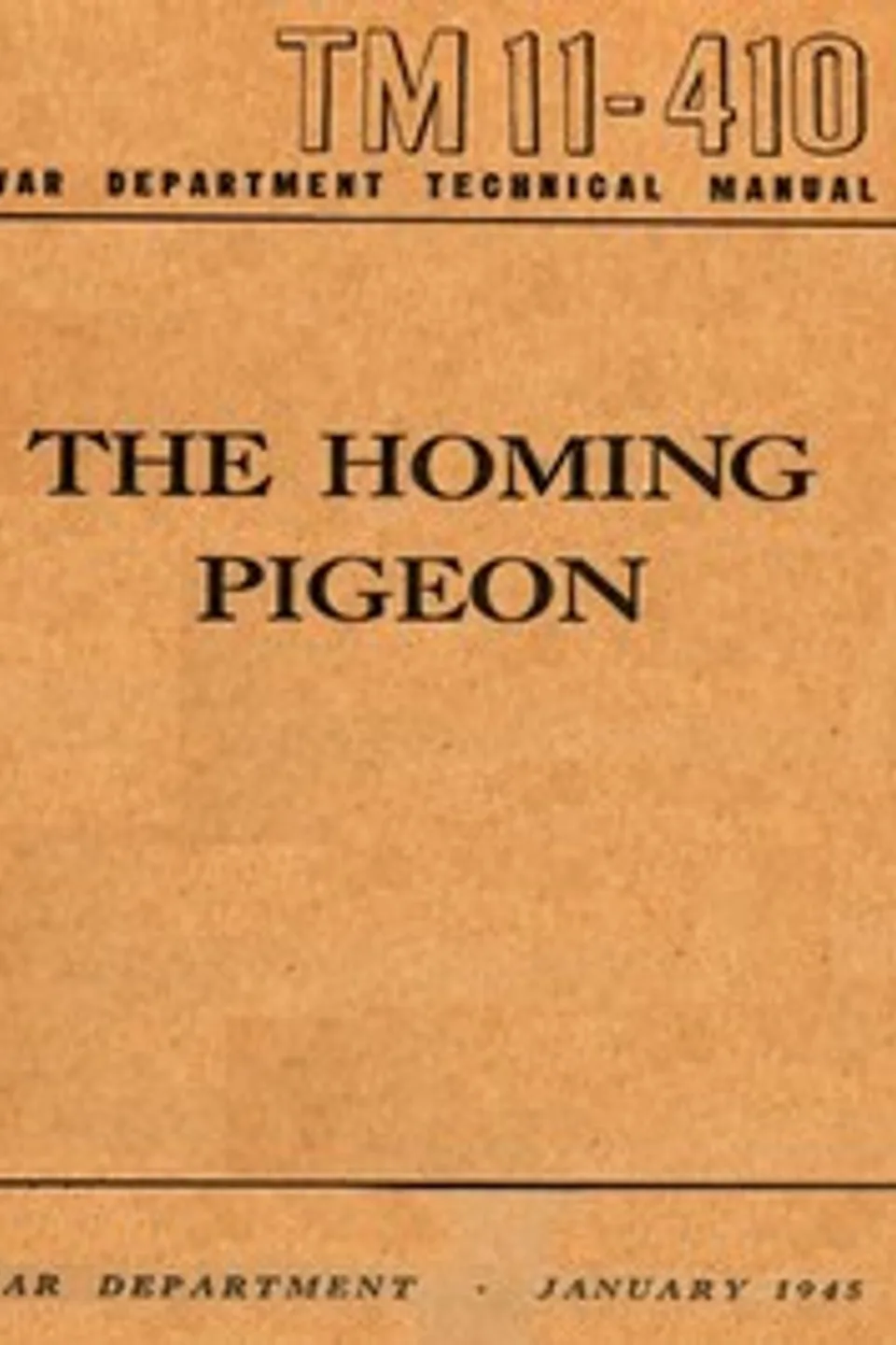 The Homing Pigeon, United States. War Department