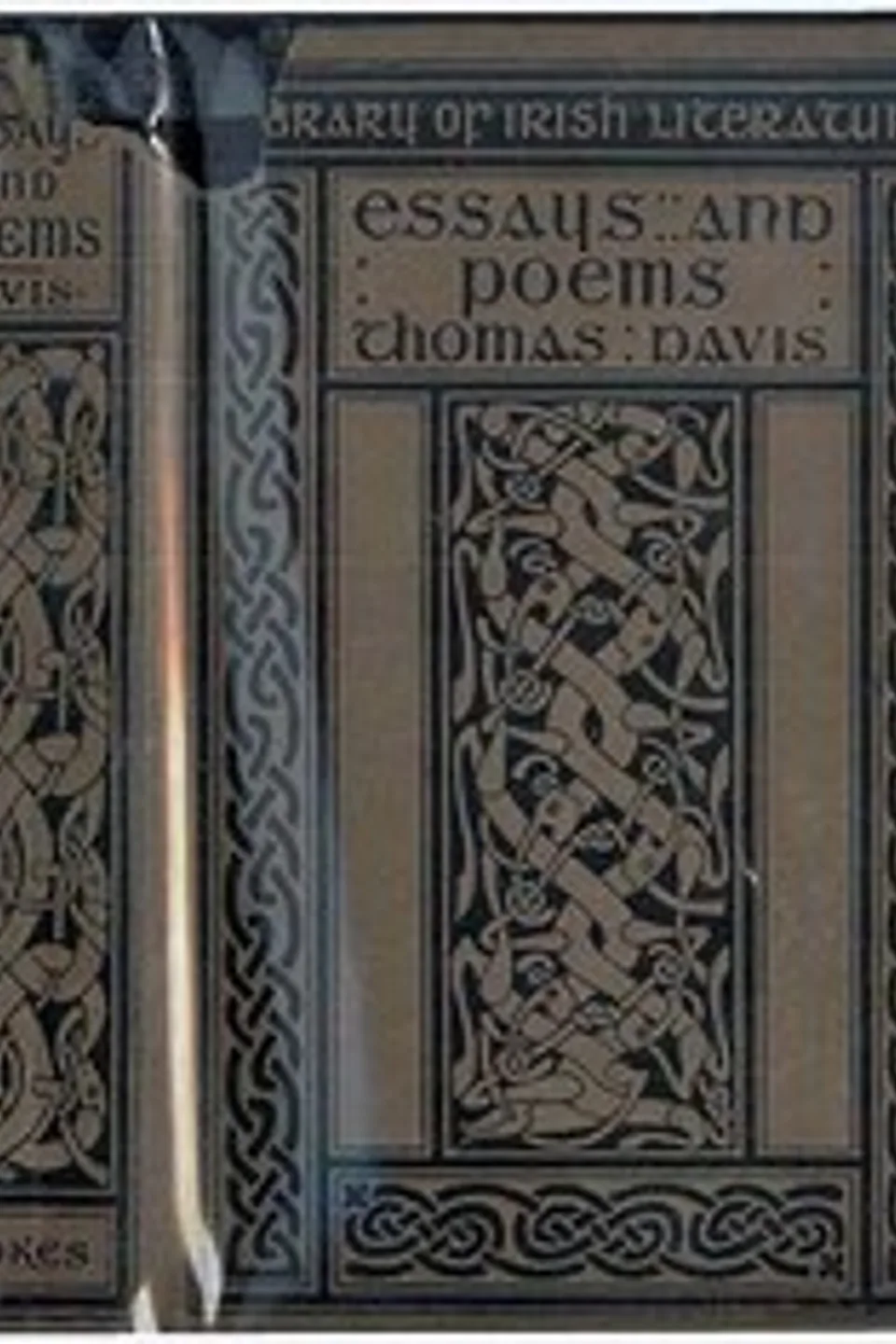 Thomas Davis, selections from his prose and poetry, Thomas Davis