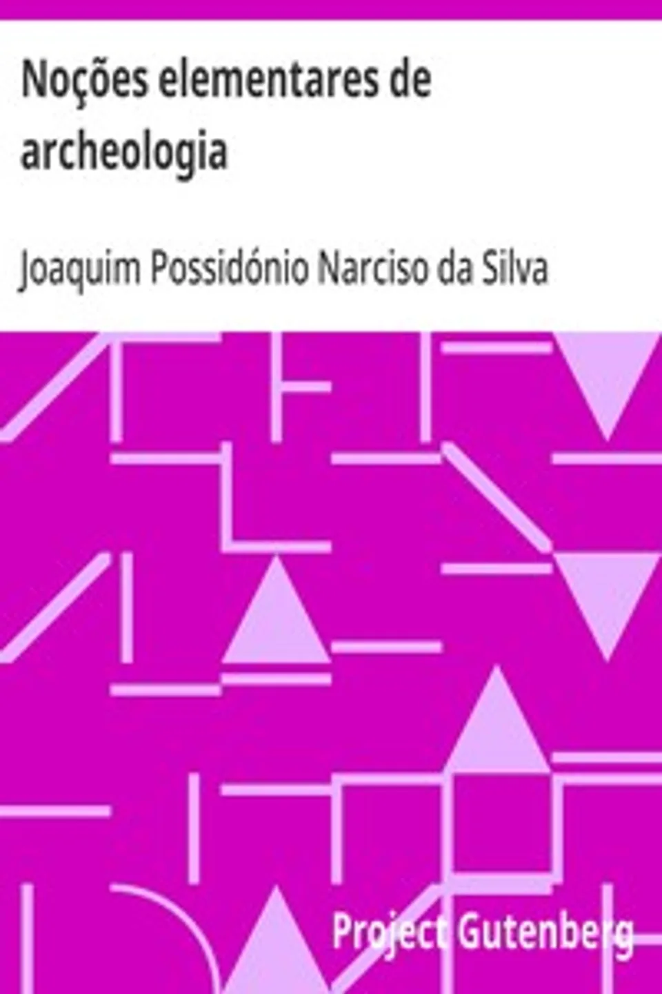 Noções elementares de archeologia, Joaquim Possidónio Narciso da Silva