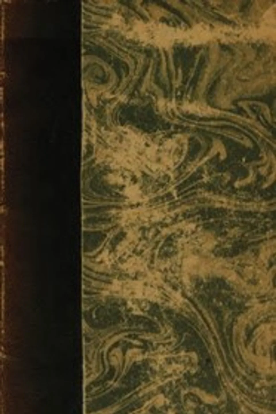 Vie de Tolstoï, Romain Rolland