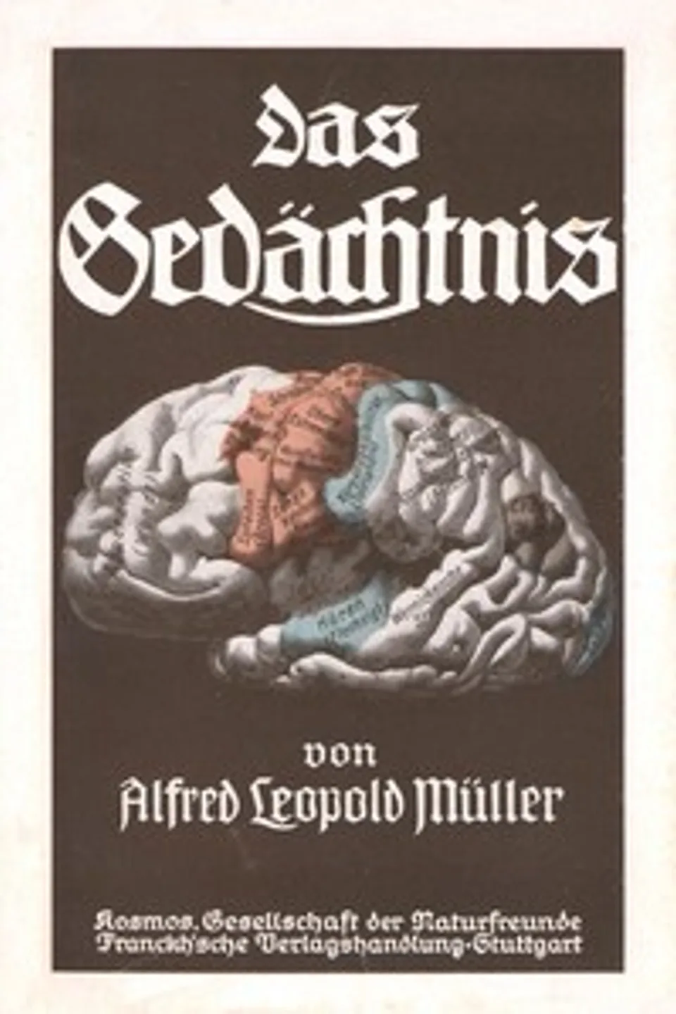 Das Gedächtnis, Alfred Leopold Müller