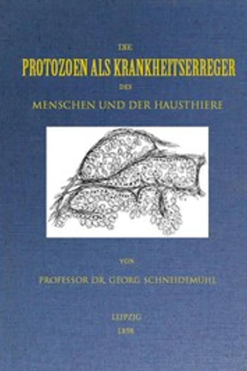 Die Protozoen als Krankheitserreger des Menschen und der Hausthiere: Für Ärzte, Thierärzte und Zoologen, Georg Schneidemühl