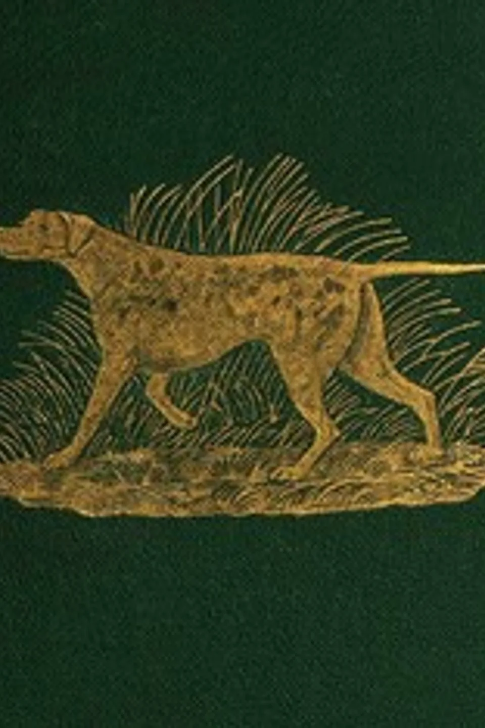 Dog Breaking: The Most Expeditious, Certain, and Easy Method, Whether Great Excellence or Only Mediocrity Be Required, With Odds and Ends for Those Who Love the Dog and Gun, W. N. (William Nelson) Hutchinson