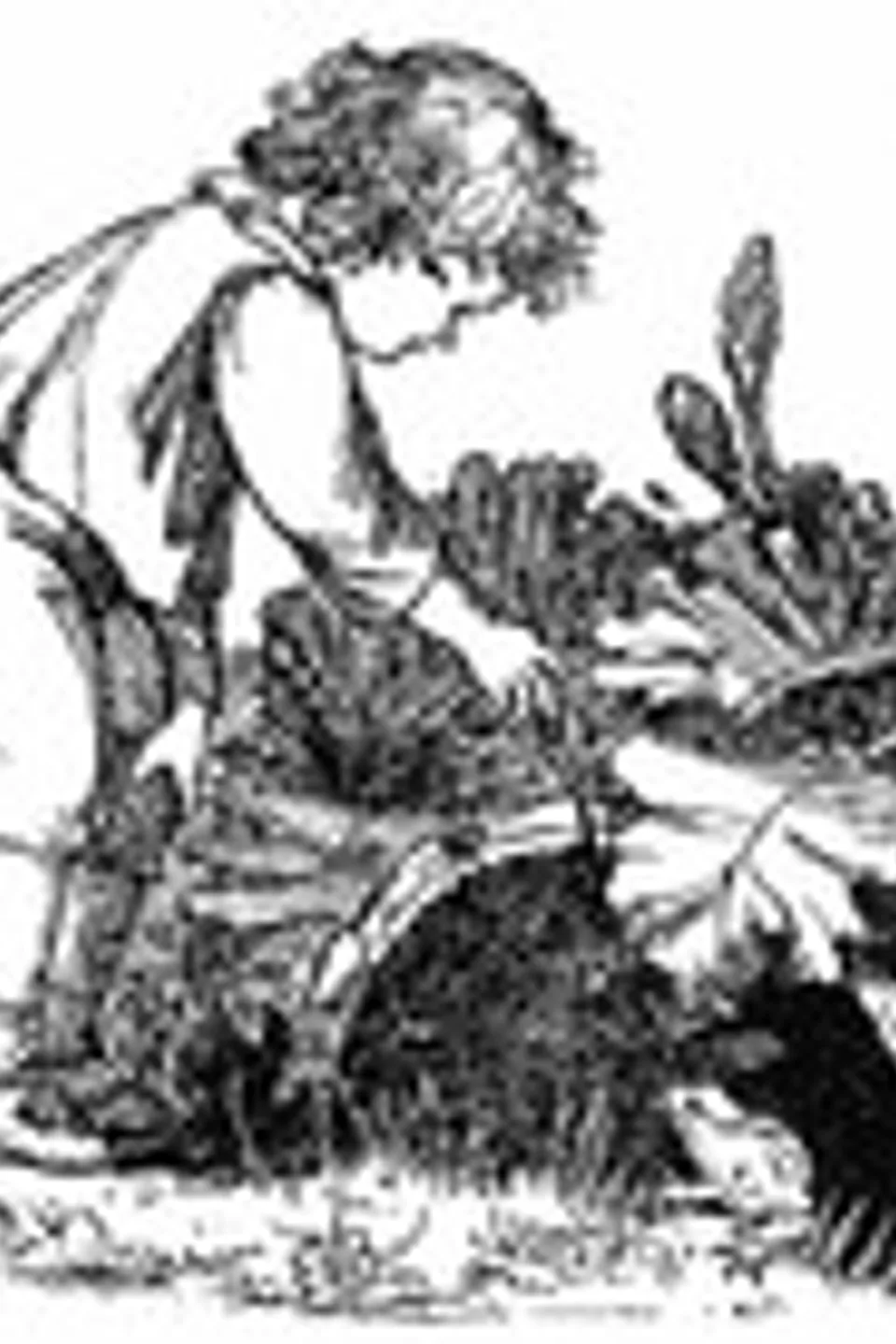 Wood Magic: A Fable, Richard Jefferies
