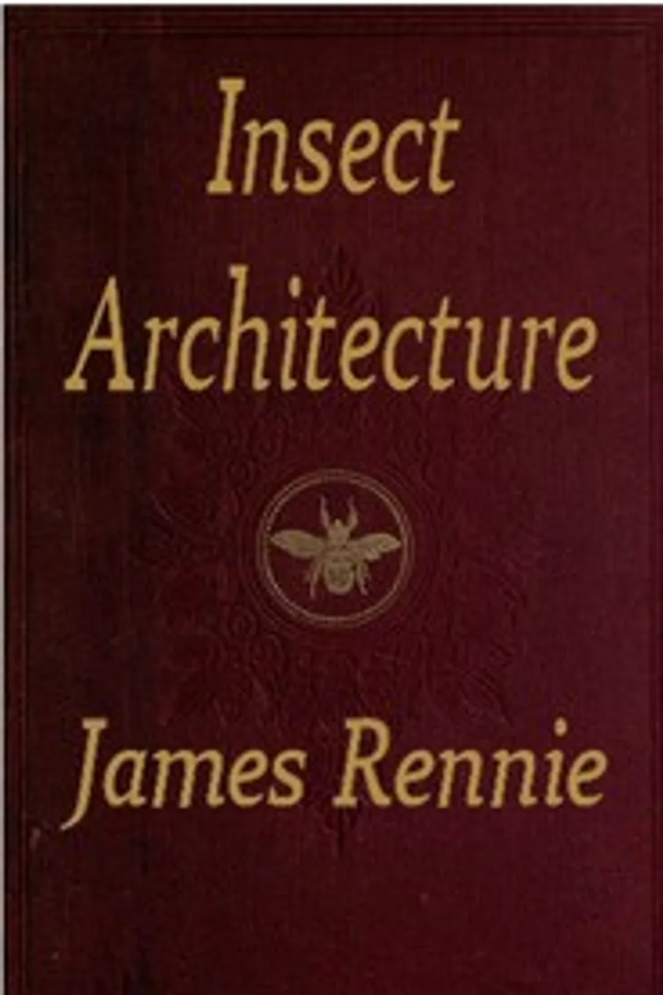 Insect Architecture, James Rennie