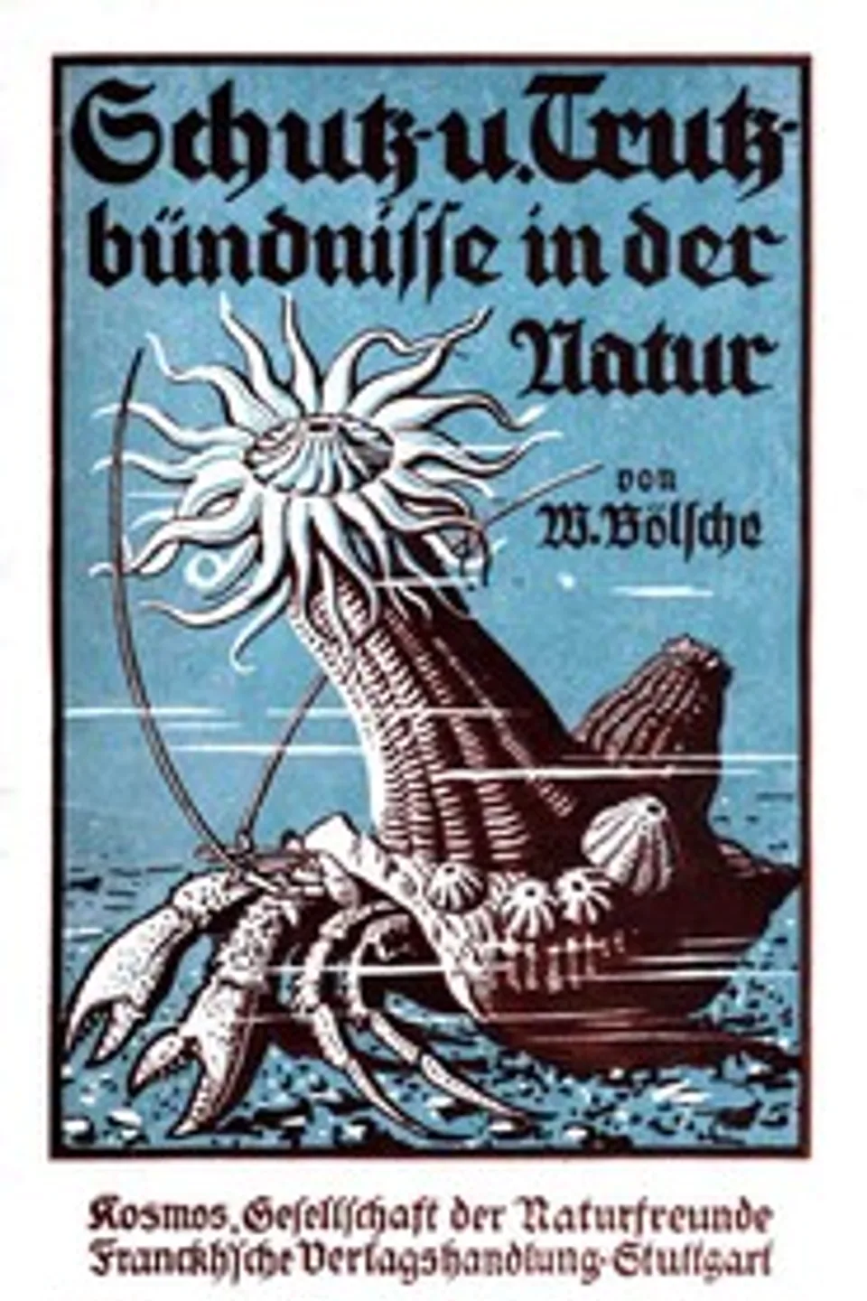 Schutz- und Trutzbündnisse in der Natur, Wilhelm Bölsche
