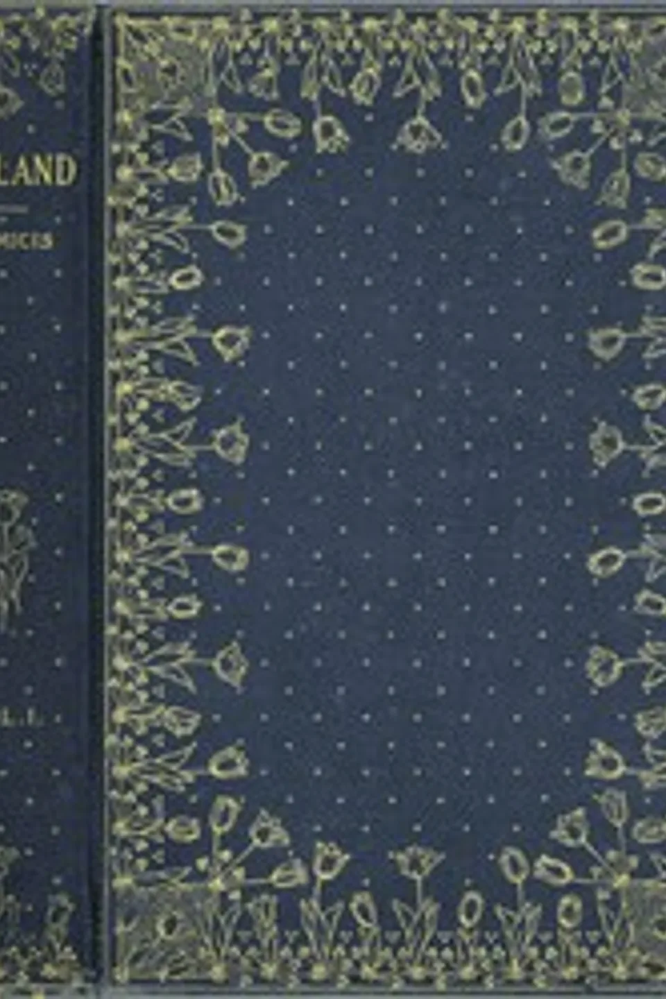 Holland, v. 1 (of 2), Edmondo De Amicis