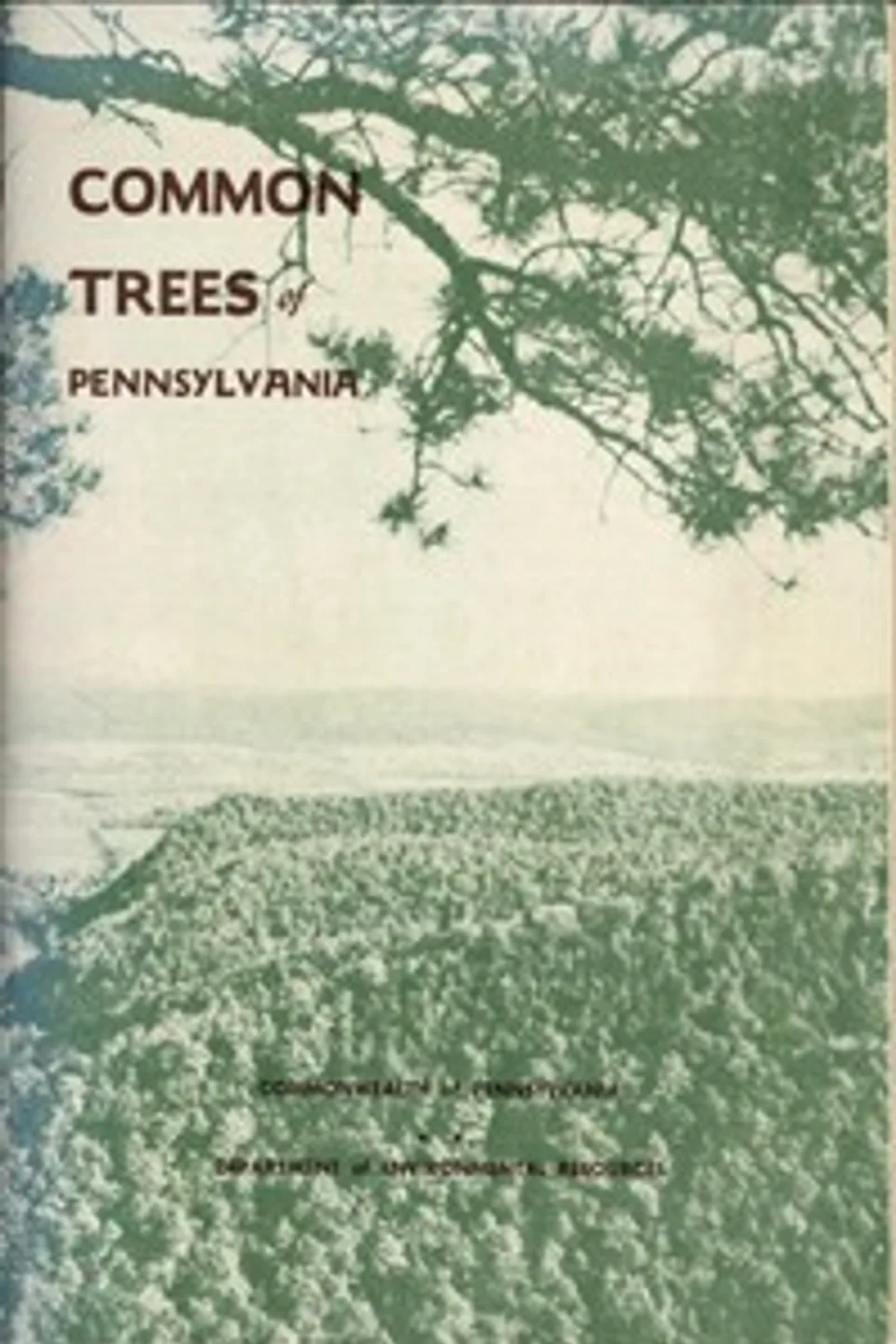 Common trees of Pennsylvania, Joseph E. Ibberson