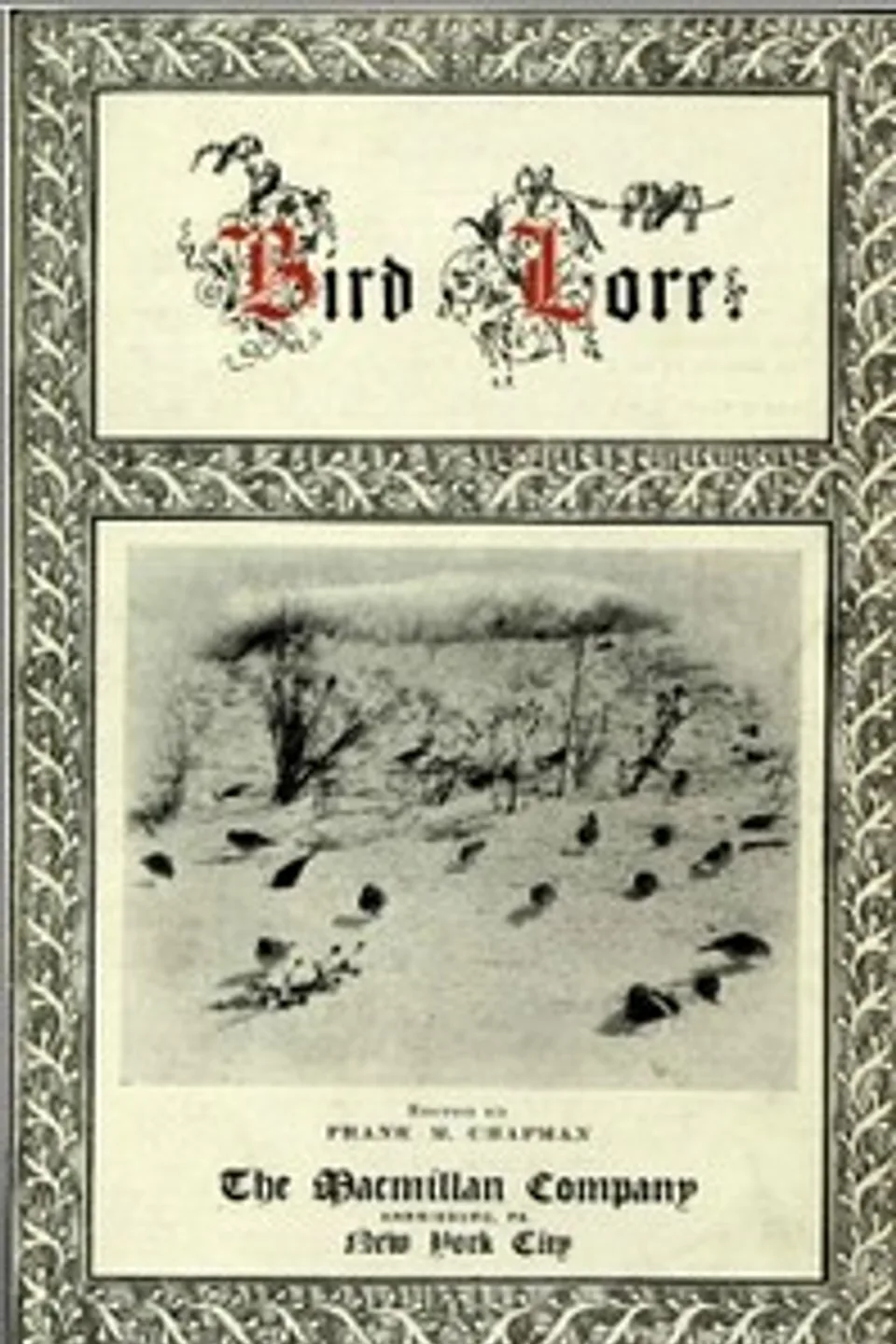 Bird-Lore, Volume I—1899, Various