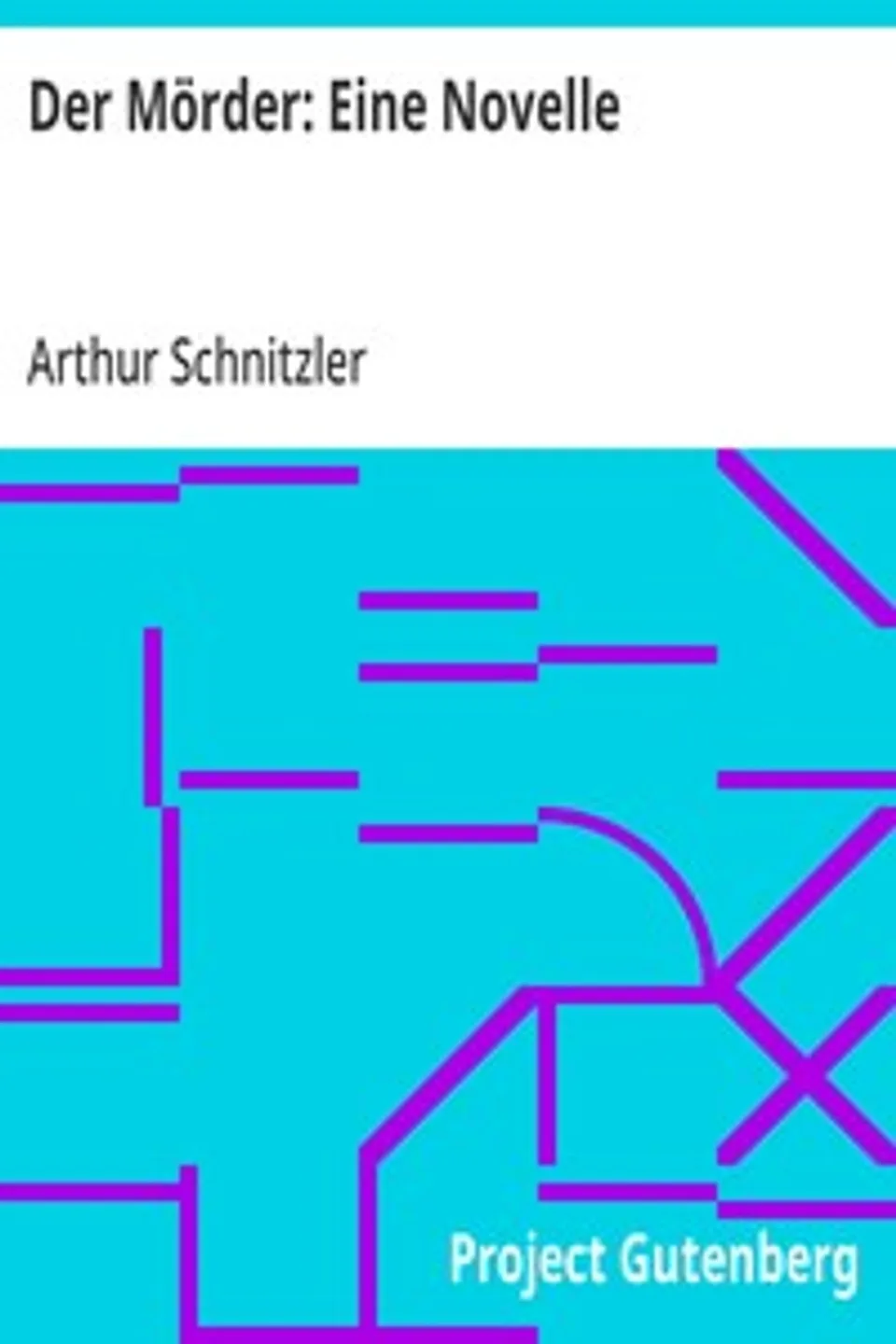 Der Mörder, Arthur Schnitzler