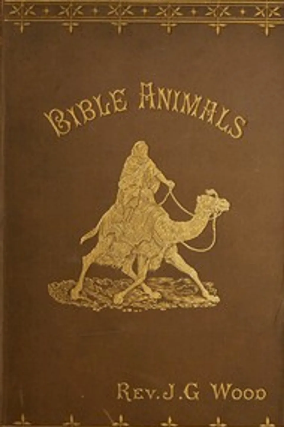 Bible animals : $b being a description of every living creature mentioned in the Scripture, from the ape to the coral., J. G. (John George) Wood