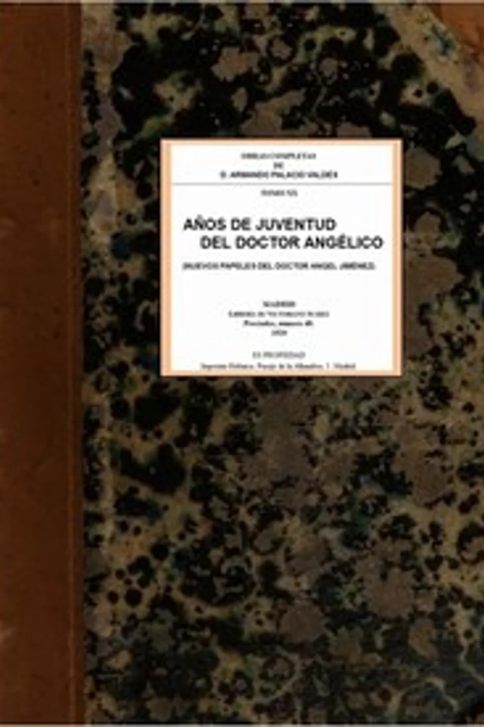 Años de juventud del doctor Angélico, Armando Palacio Valdés