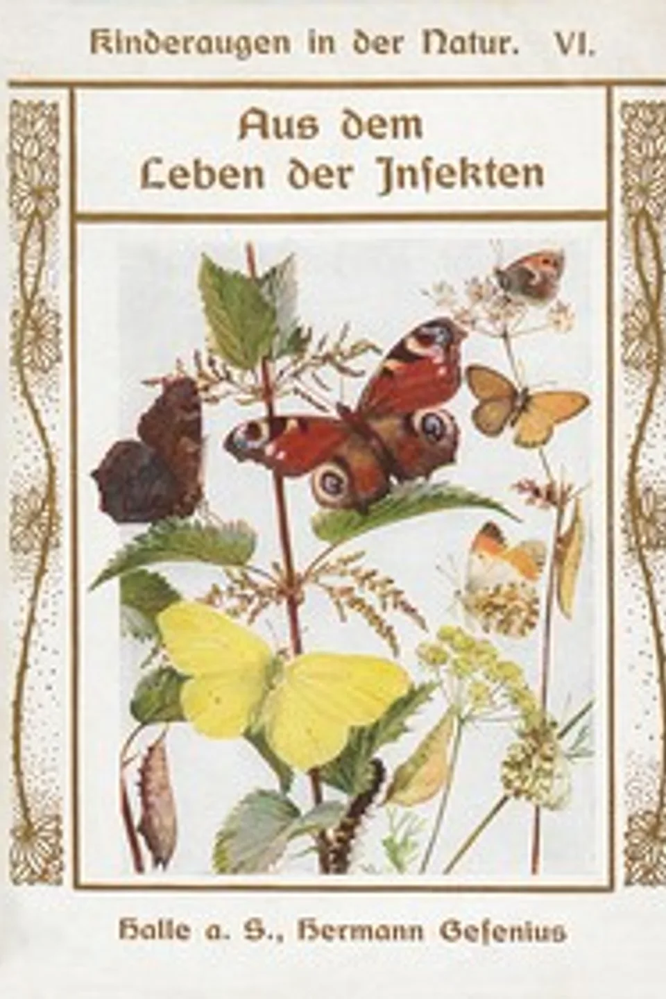 Aus dem Leben der Insekten, Arabella B. (Arabella Burton) Buckley