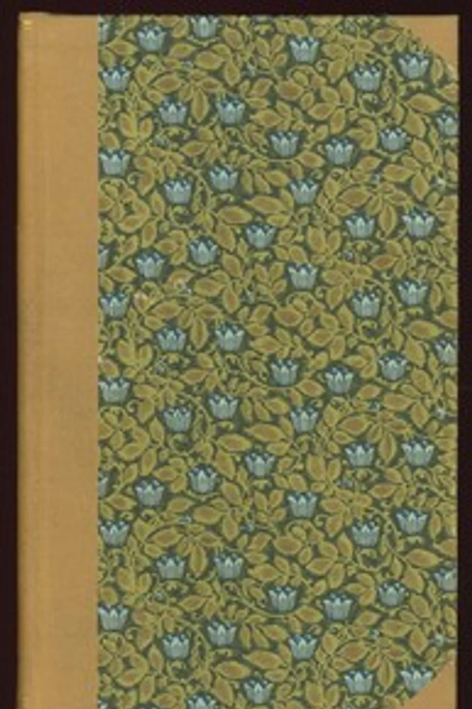 One Hundred Merrie And Delightsome Stories: Right Pleasaunte To Relate In All Goodly Companie By Way Of Joyance And Jollity