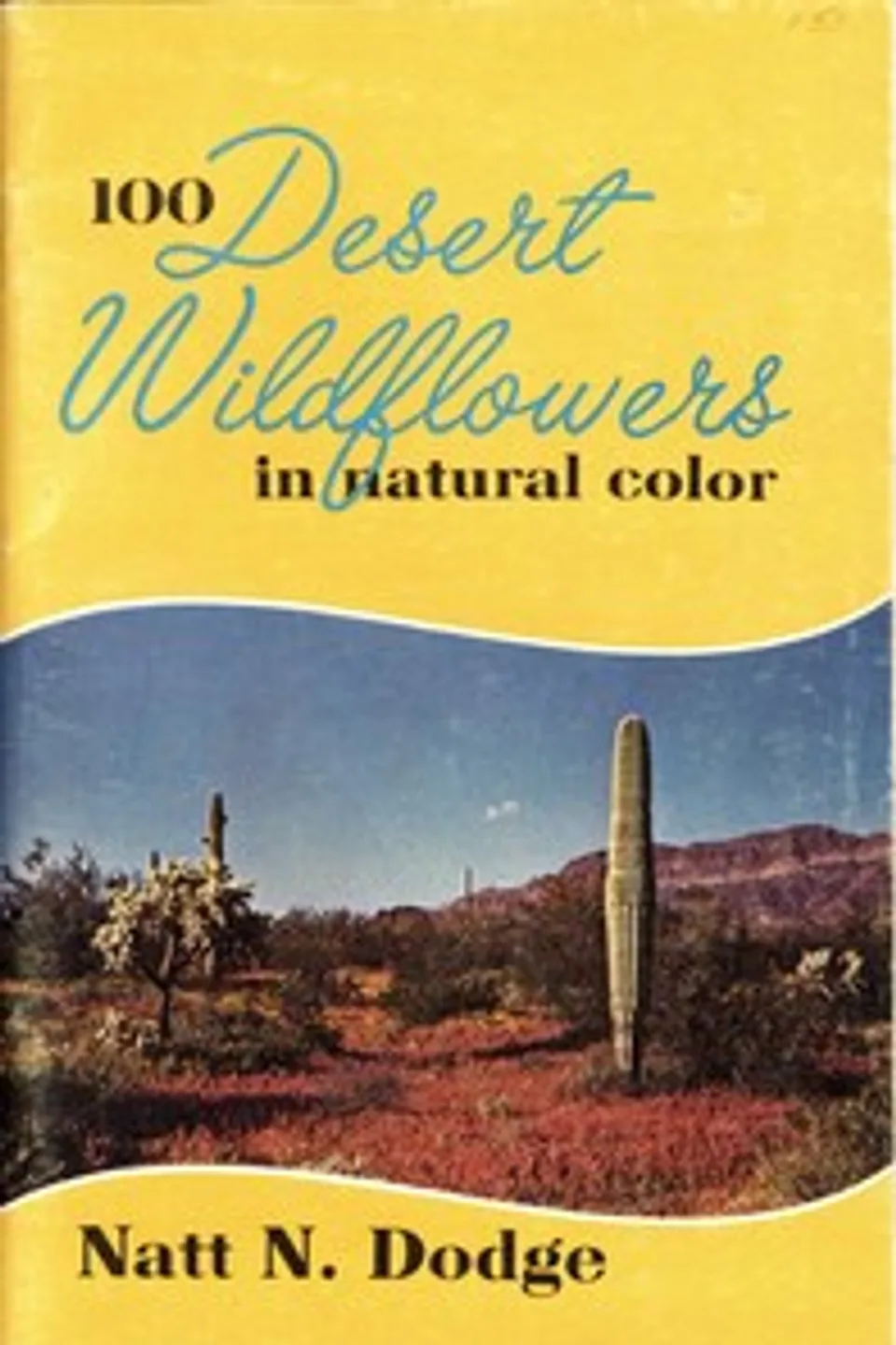 100 Desert Wildflowers in Natural Color, Natt N. (Natt Noyes) Dodge