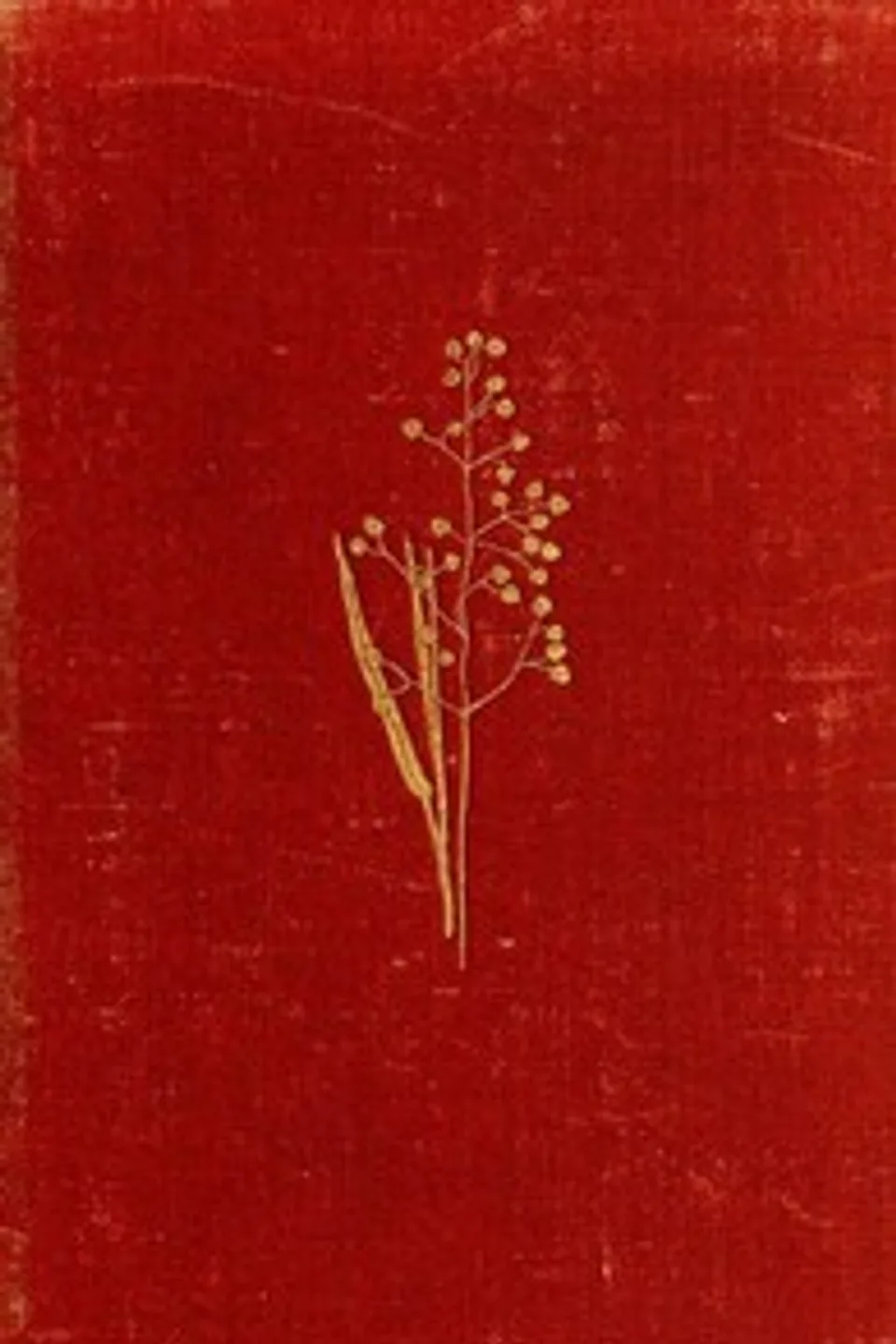 Field and Woodland Plants, William S. Furneaux