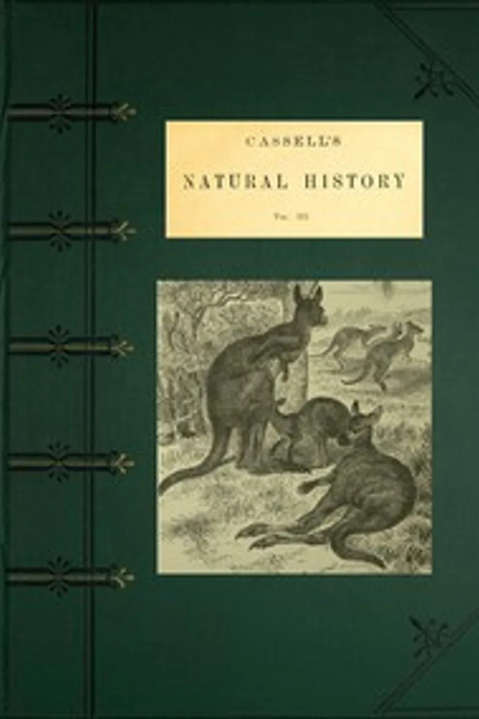 Cassell's Natural History, Vol. 3 (of 6)
