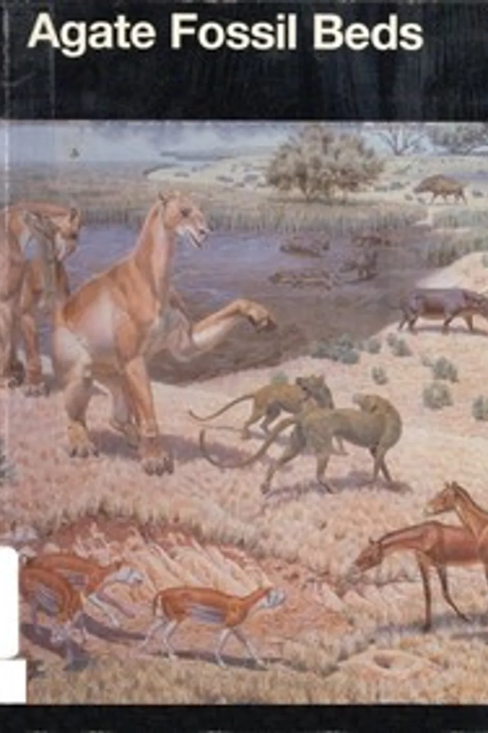 Agate Fossil Beds National Monument, Nebraska, United States. National Park Service