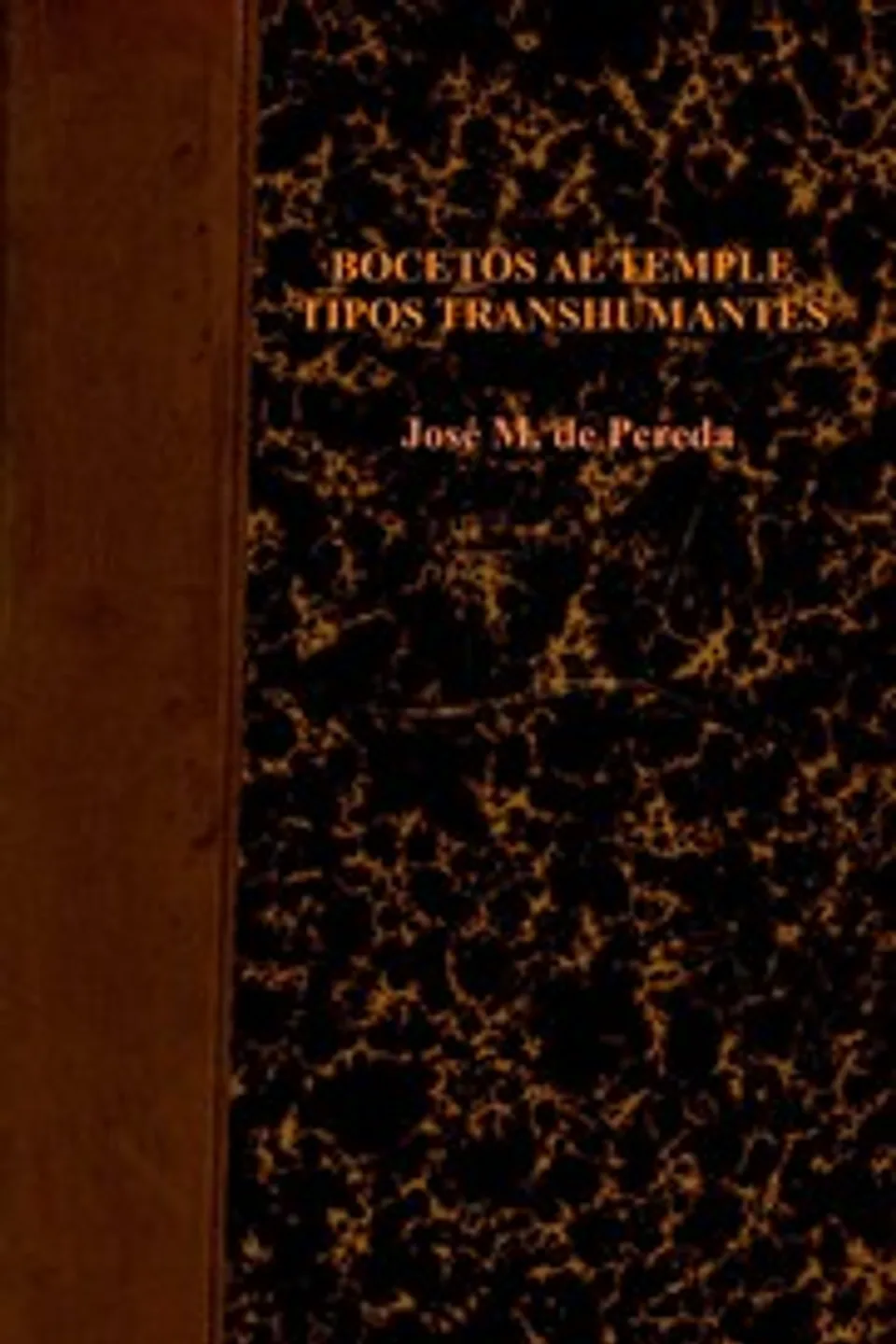 Bocetos al temple. Tipos trashumantes : $b Obras completas - Vol. VIII, José María de Pereda