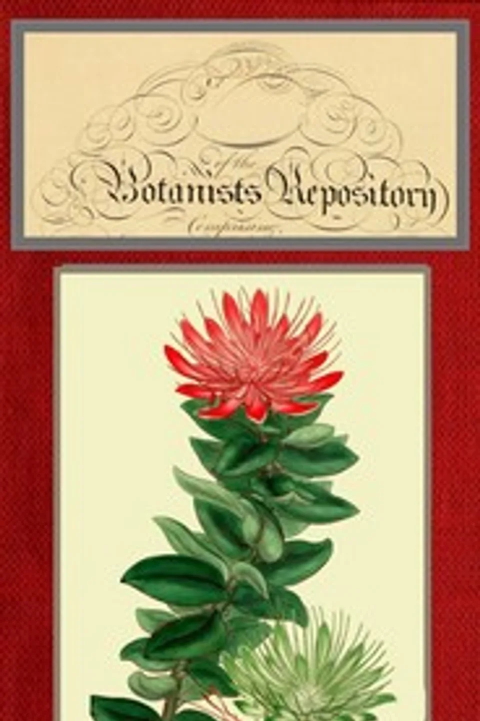 The botanist's repository for new and rare plants; vol. 10 [of 10], Henry Cranke Andrews