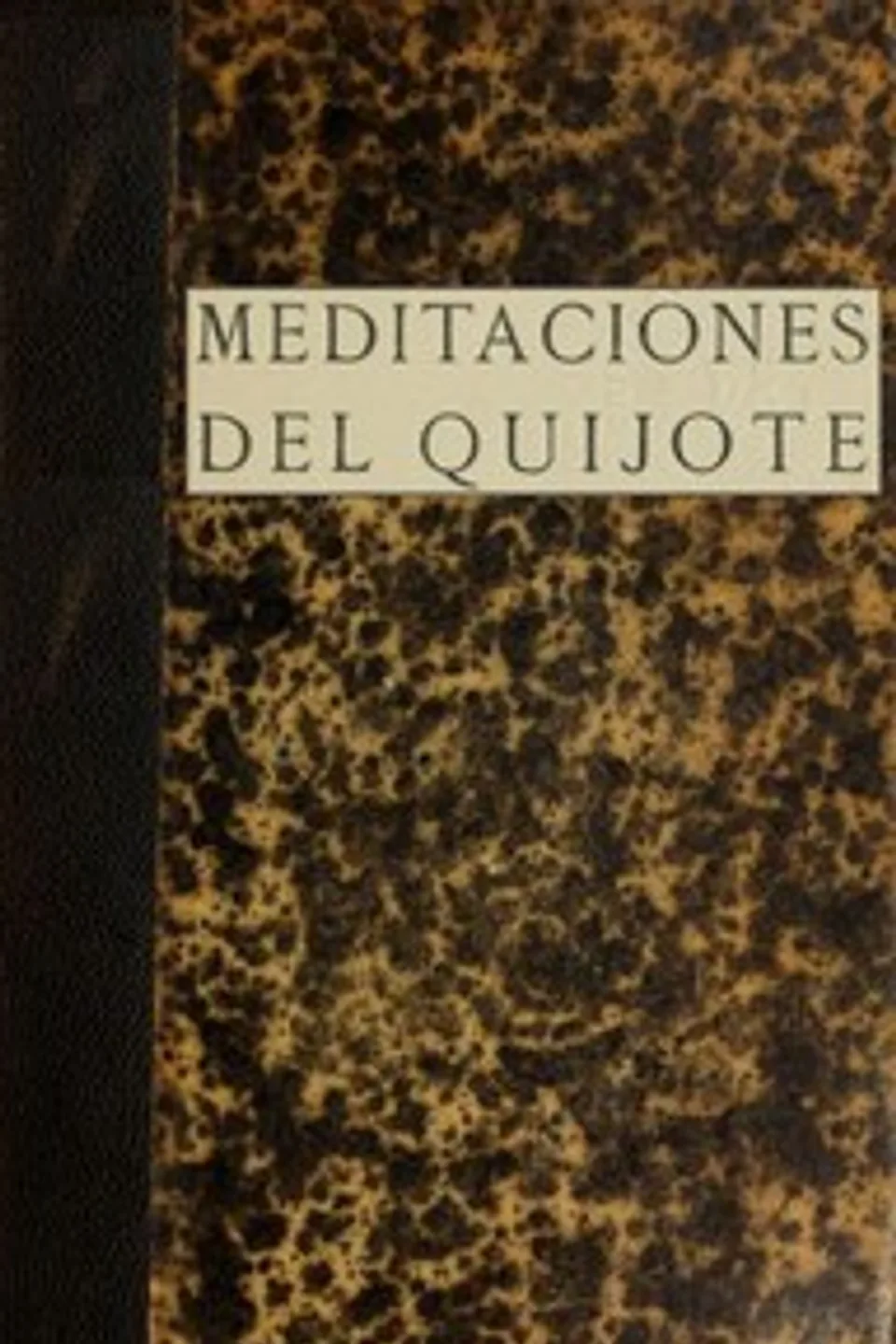 Meditaciones del Quijote, José Ortega y Gasset