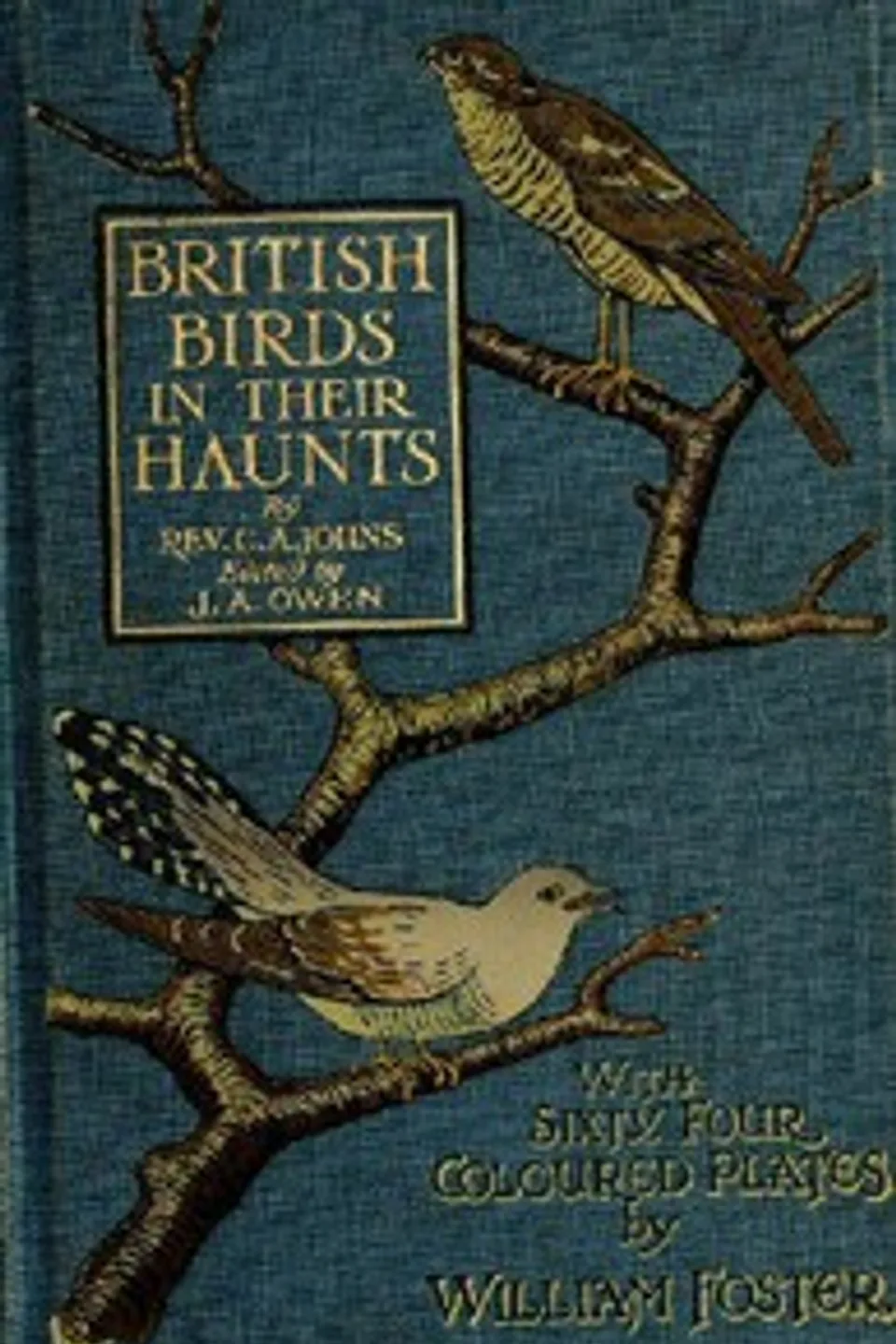 British Birds in Their Haunts, C. A. (Charles Alexander) Johns