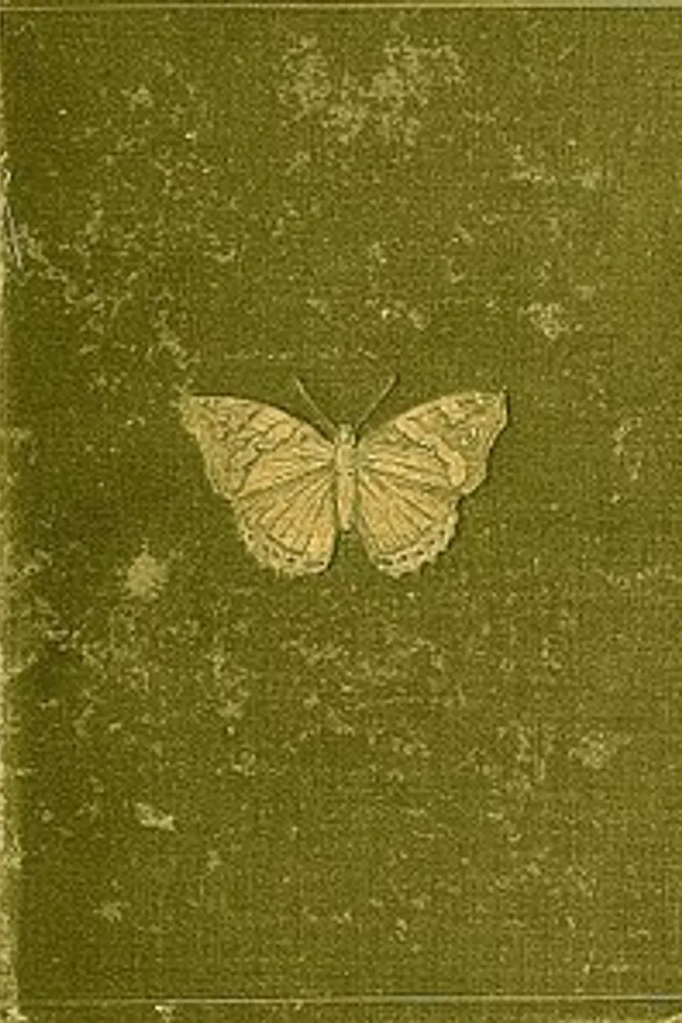 Butterflies and Moths (British), William S. Furneaux