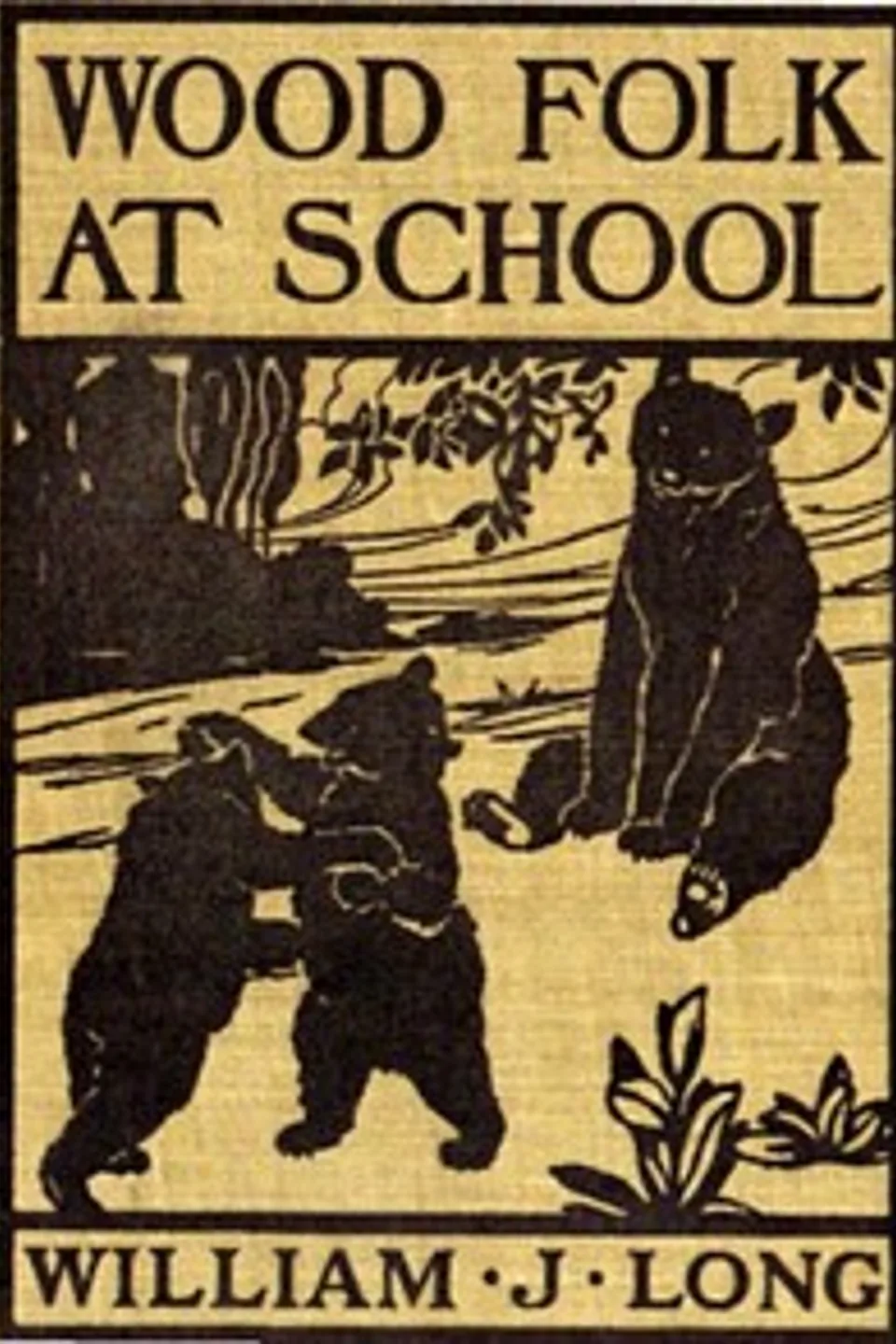 Wood folk at school, William J. (William Joseph) Long