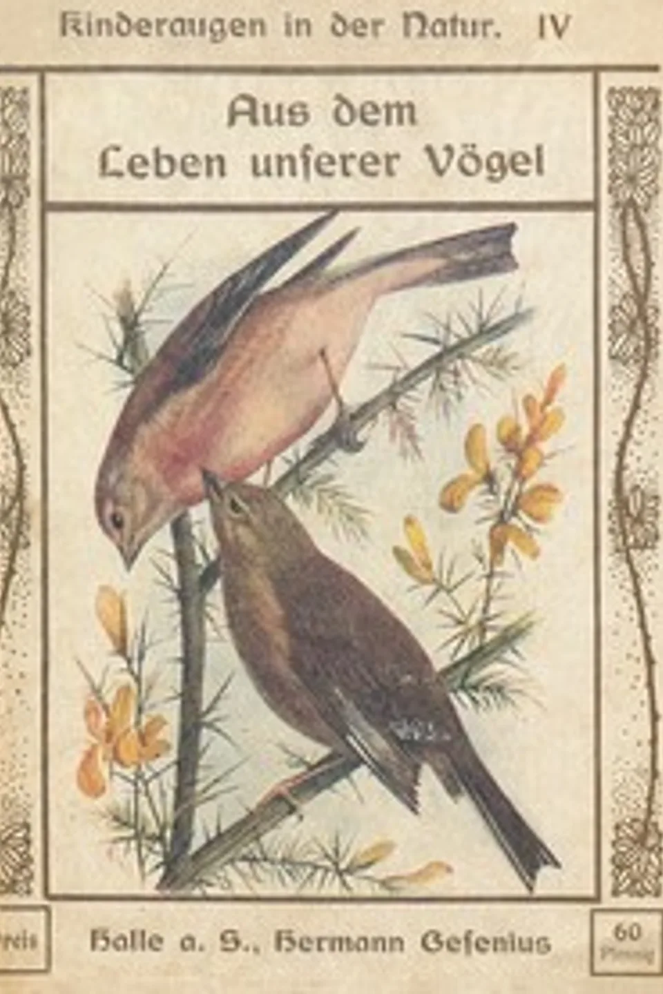 Aus dem Leben unserer Vögel, Arabella B. (Arabella Burton) Buckley