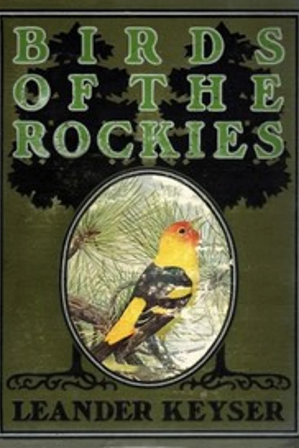 Birds of the Rockies, Leander S. (Leander Sylvester) Keyser
