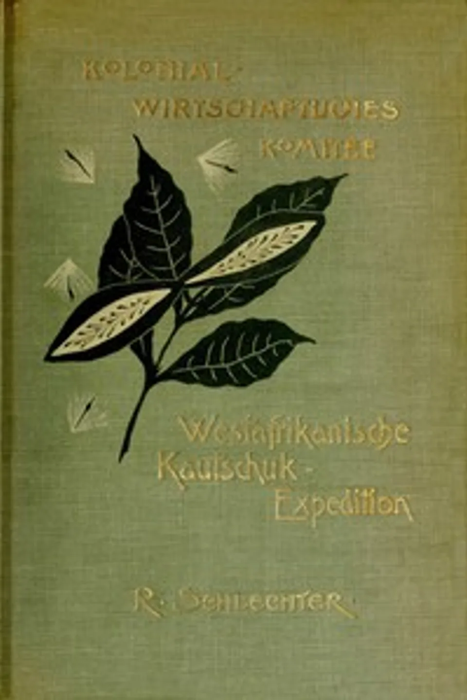 Westafrikanische Kautschuk-Expedition, Rudolf Schlechter