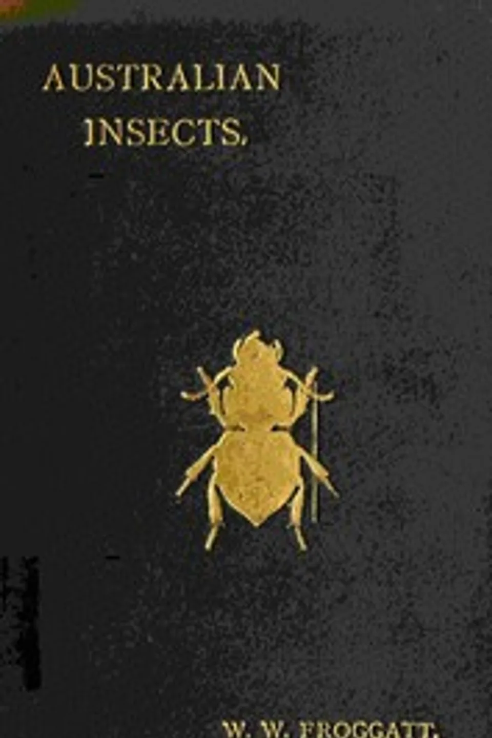 Australian insects, Walter W. (Walter Wilson) Froggatt