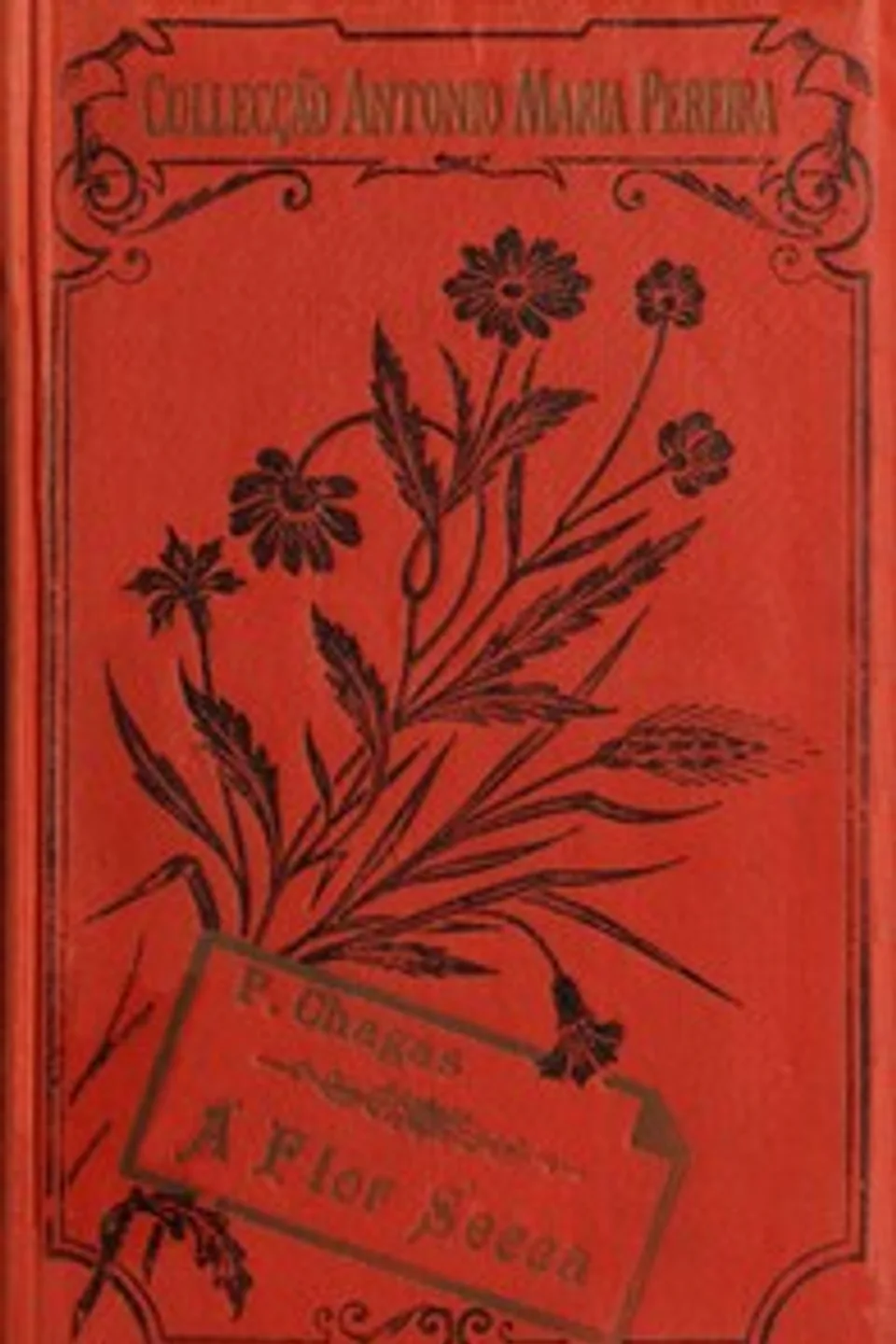 A flor secca, Manuel Pinheiro Chagas