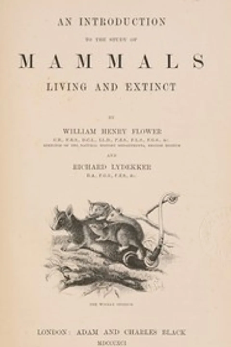 An introduction to the study of mammals living and extinct, Richard Lydekker