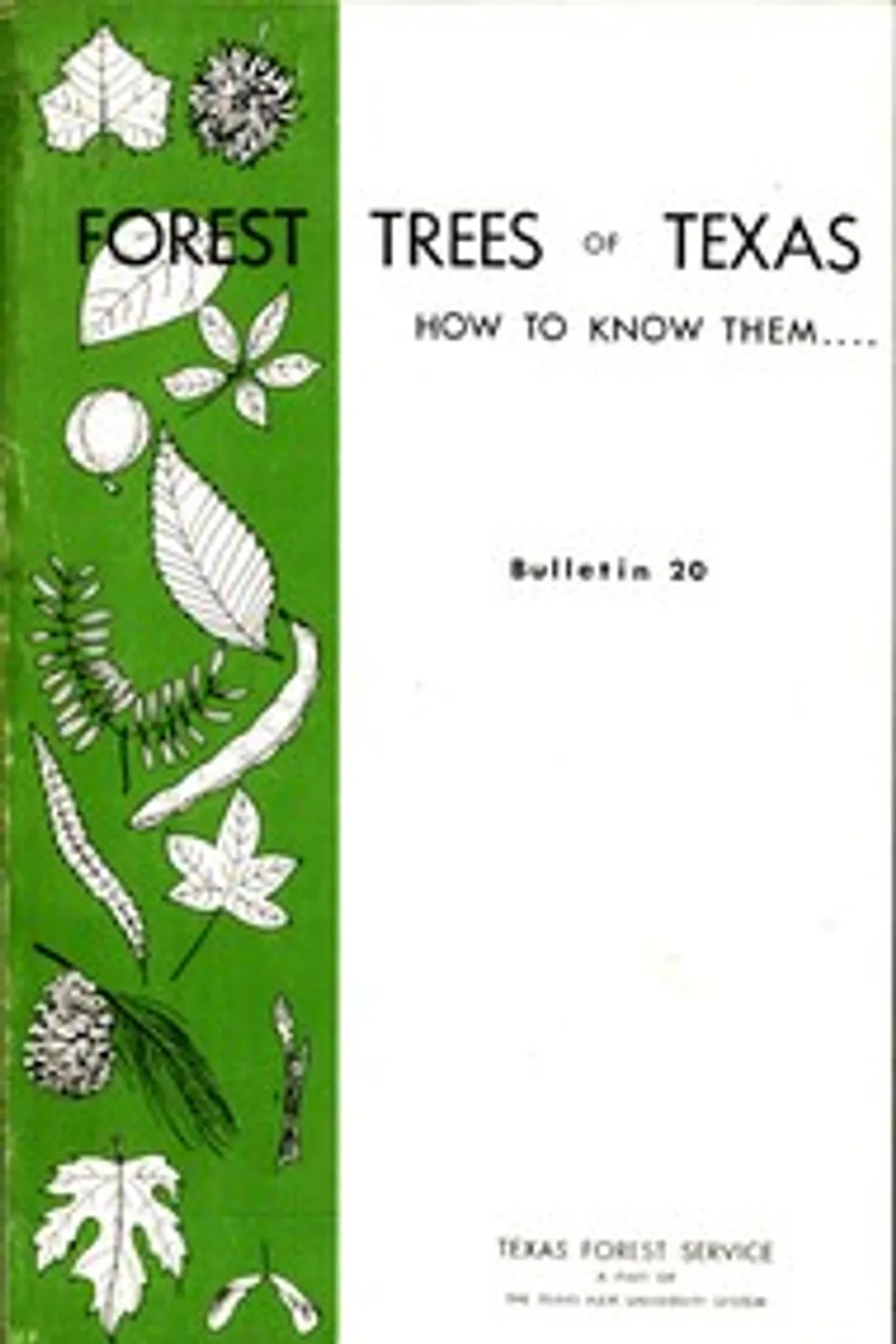 Forest Trees of Texas: How to Know Them, Wilbur R. (Wilbur Reed) Mattoon
