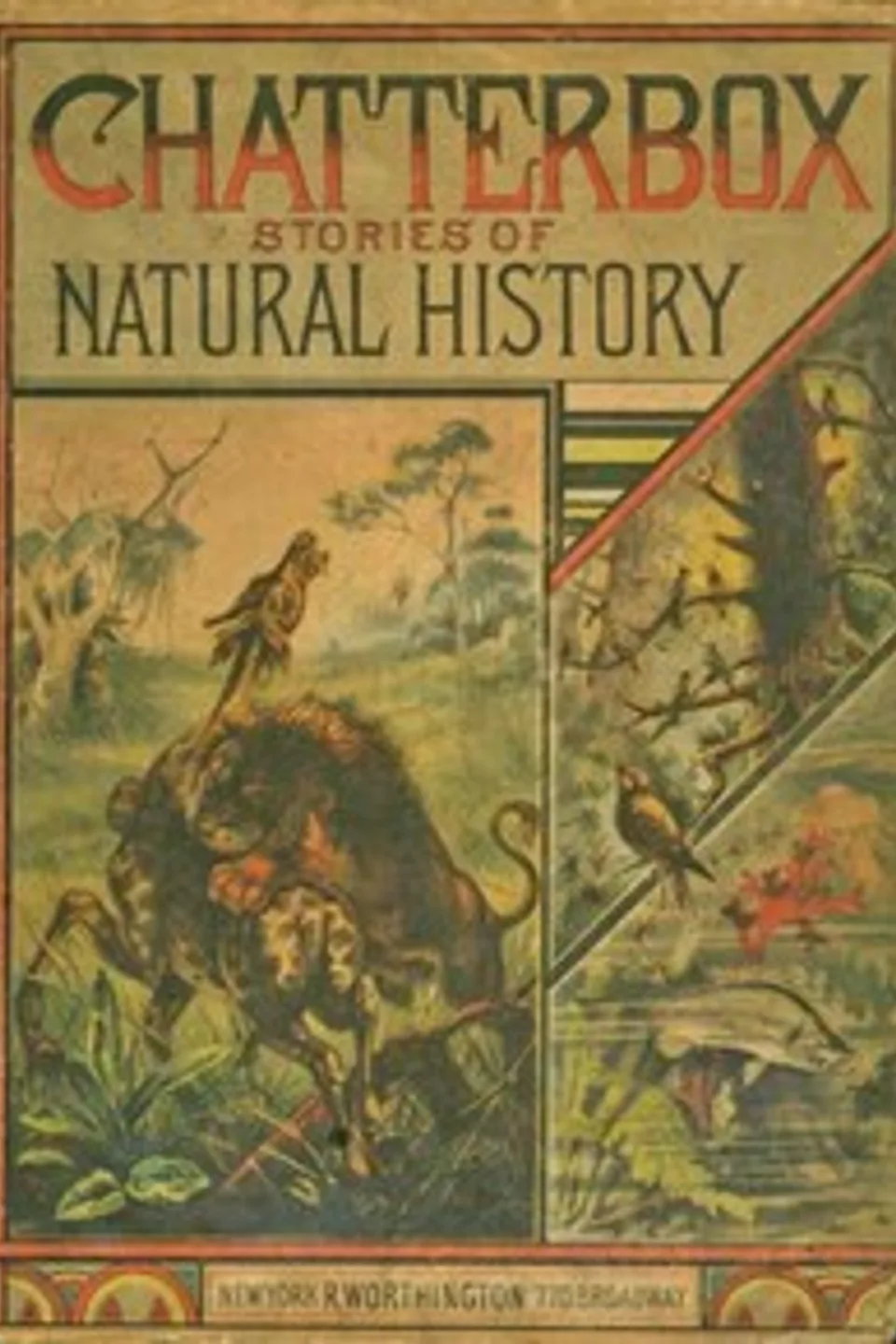Chatterbox Stories of Natural History, Anonymous