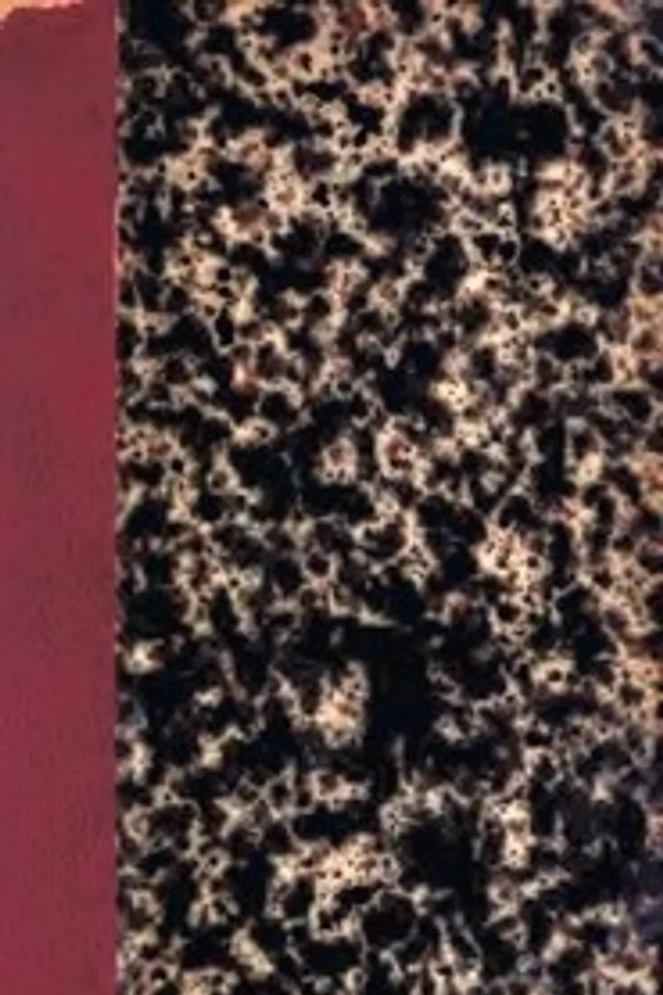 Lettres à Madame Viardot, Ivan Sergeevich Turgenev