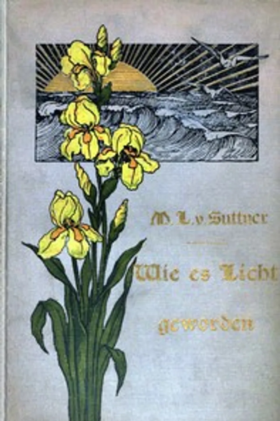 Wie es Licht geworden! : $b Roman, Marie Louise von Suttner
