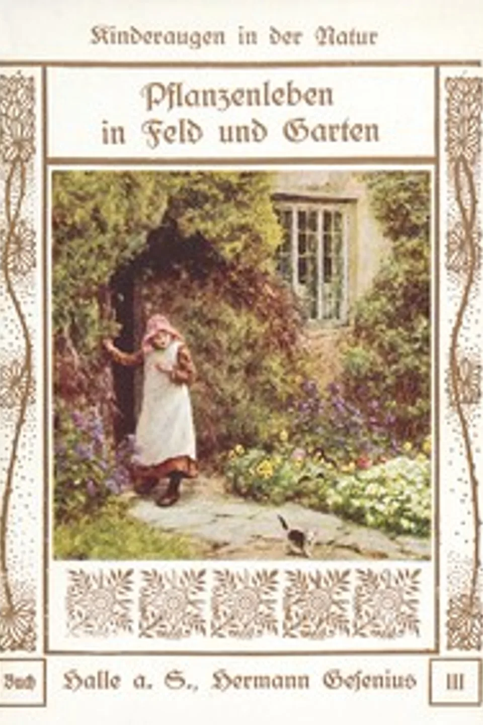 Pflanzenleben in Feld und Garten, Arabella B. (Arabella Burton) Buckley