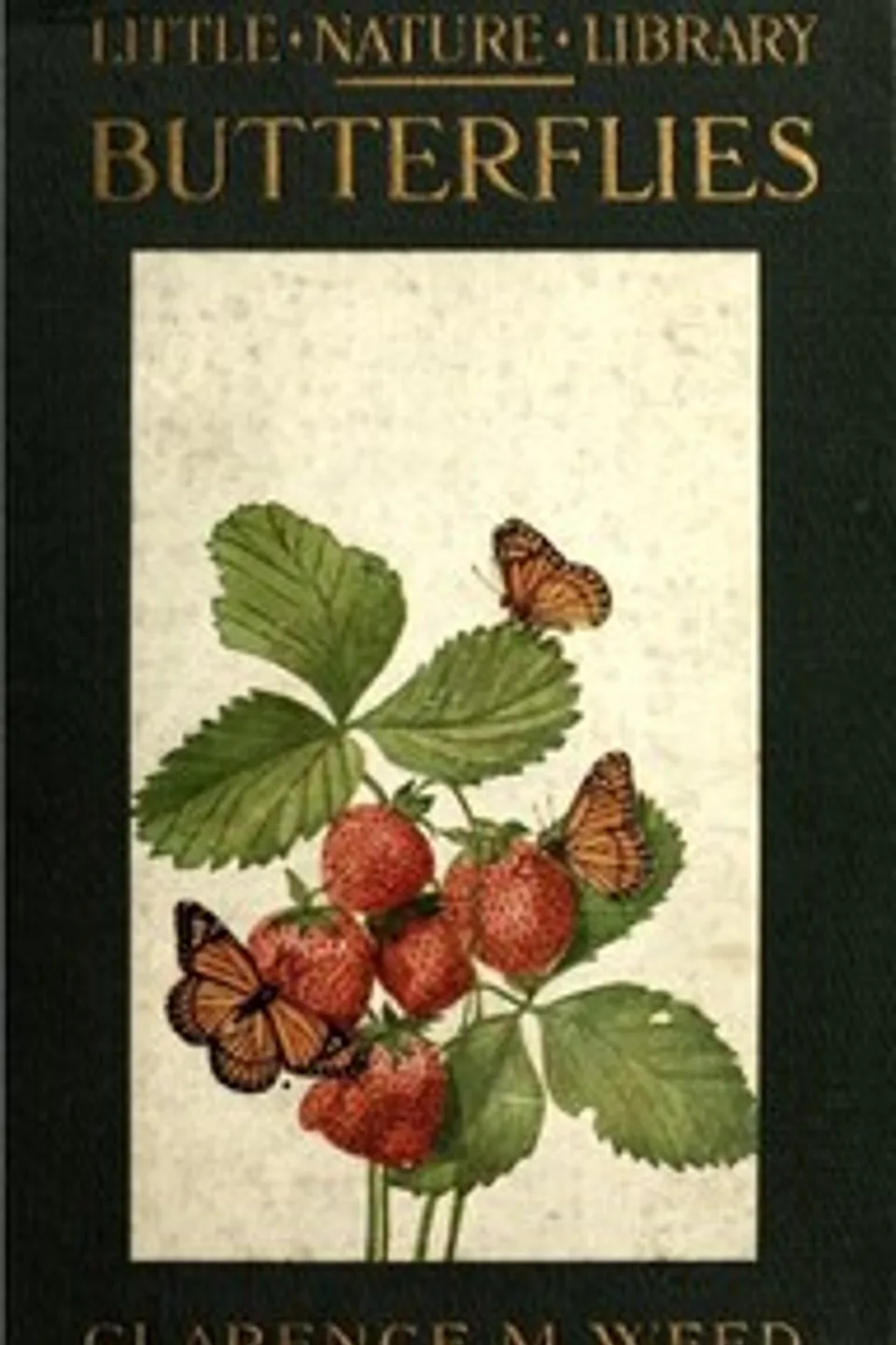 Butterflies Worth Knowing, Clarence Moores Weed