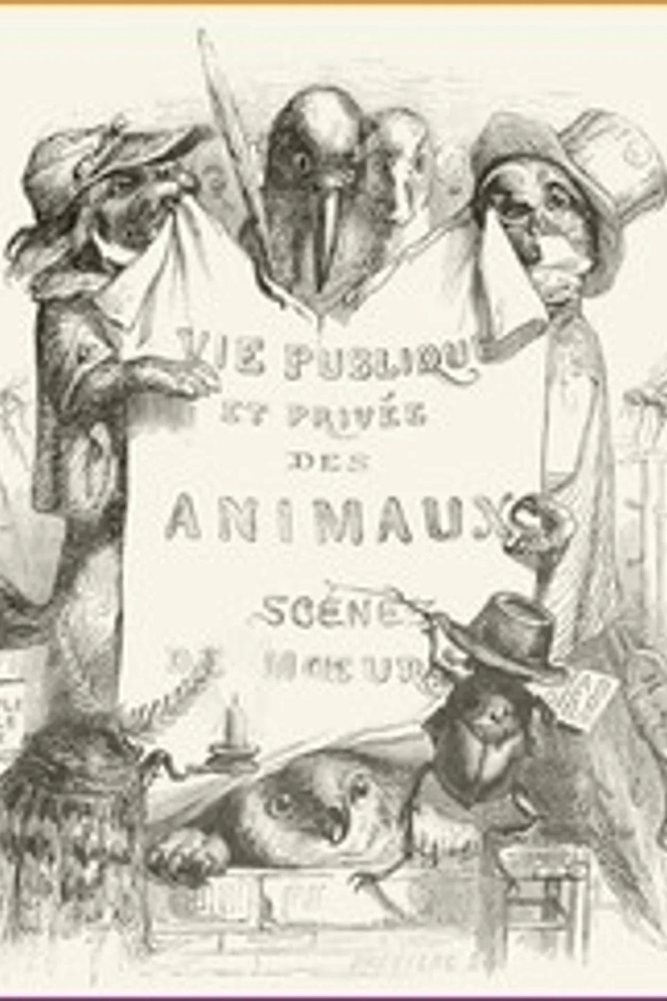 Vie privée et publique des animaux